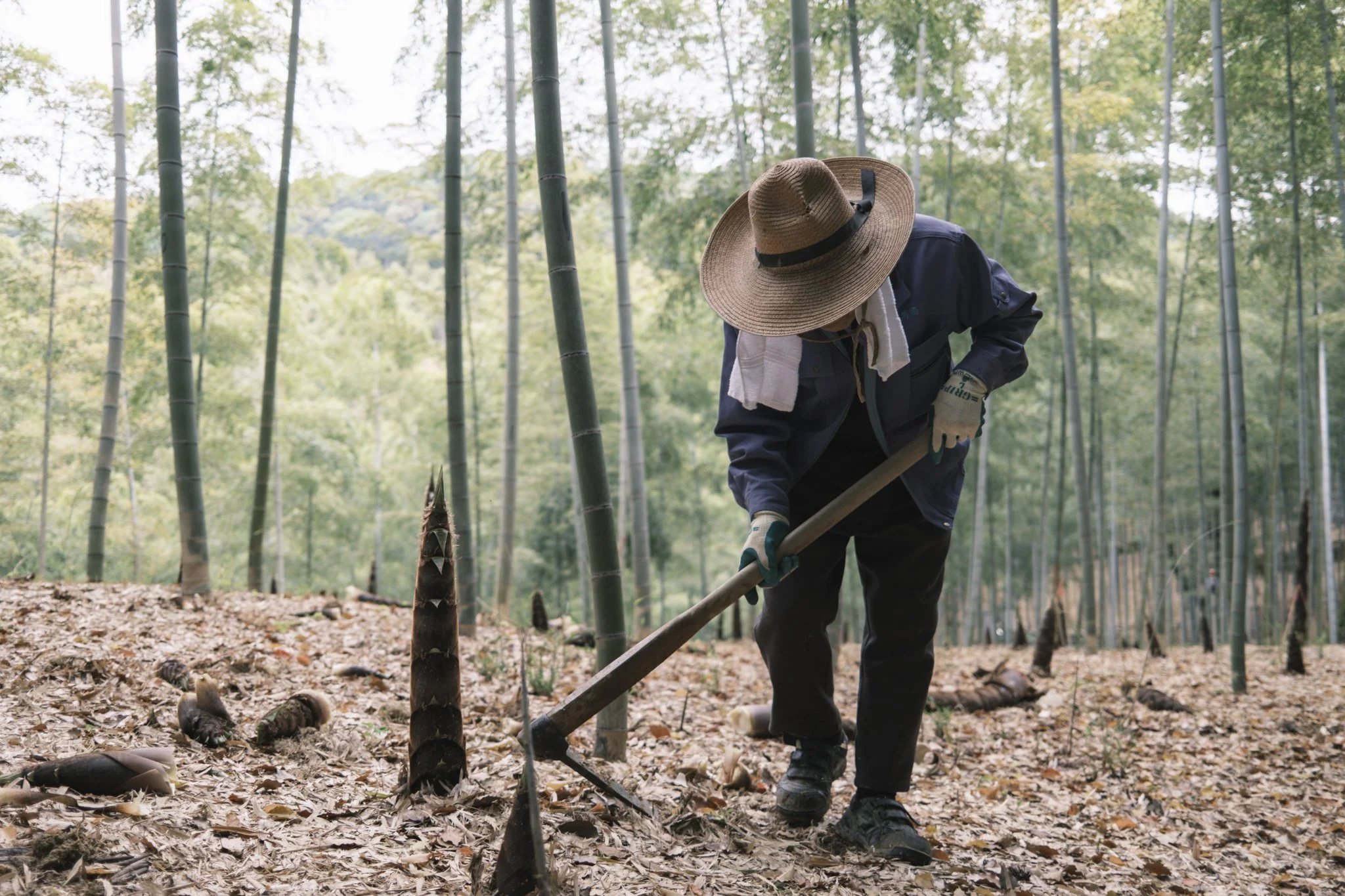 Japan_Mark Hanna_Web-24.jpg