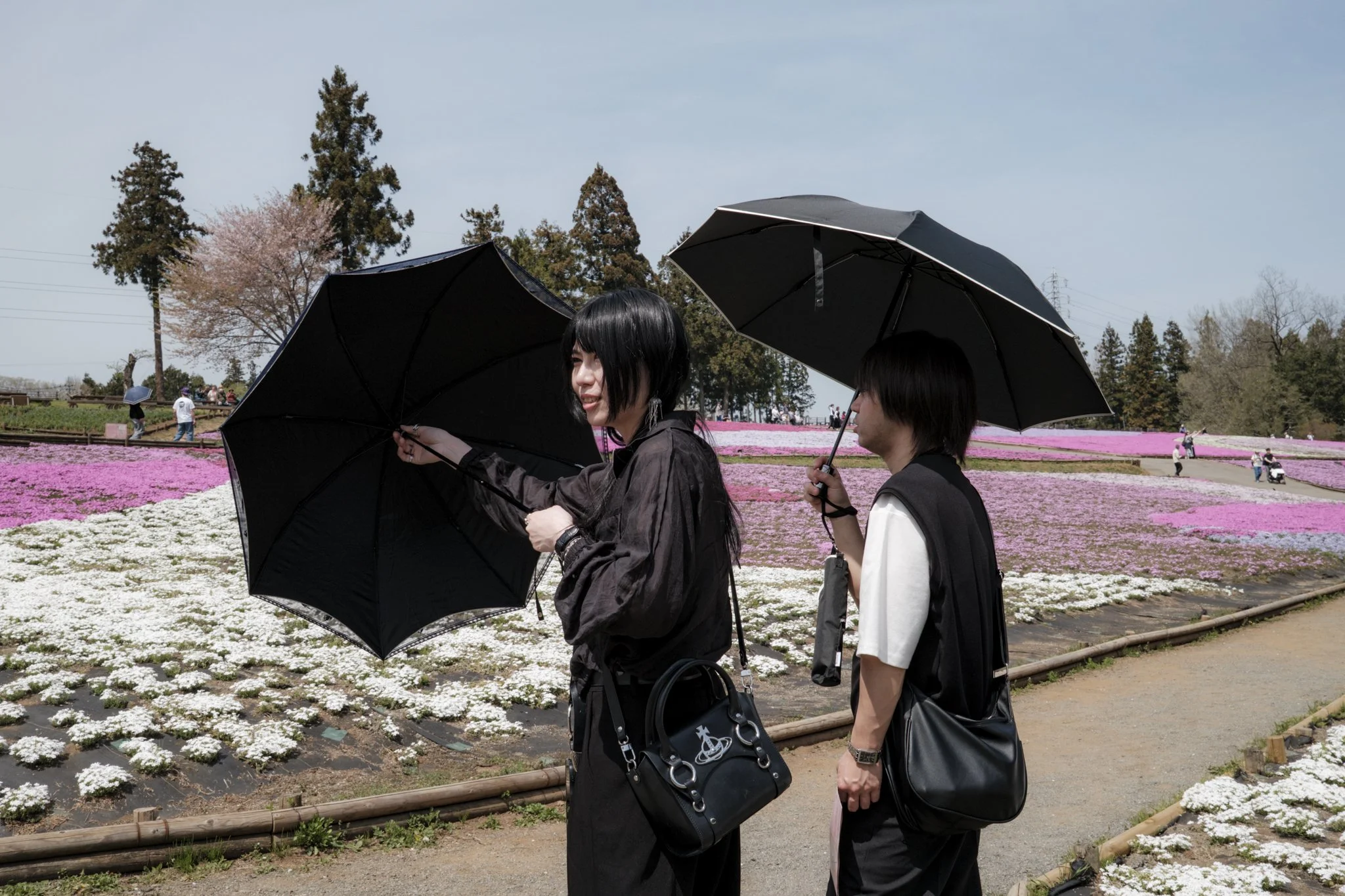 Japan_Mark Hanna_Web-12.jpg