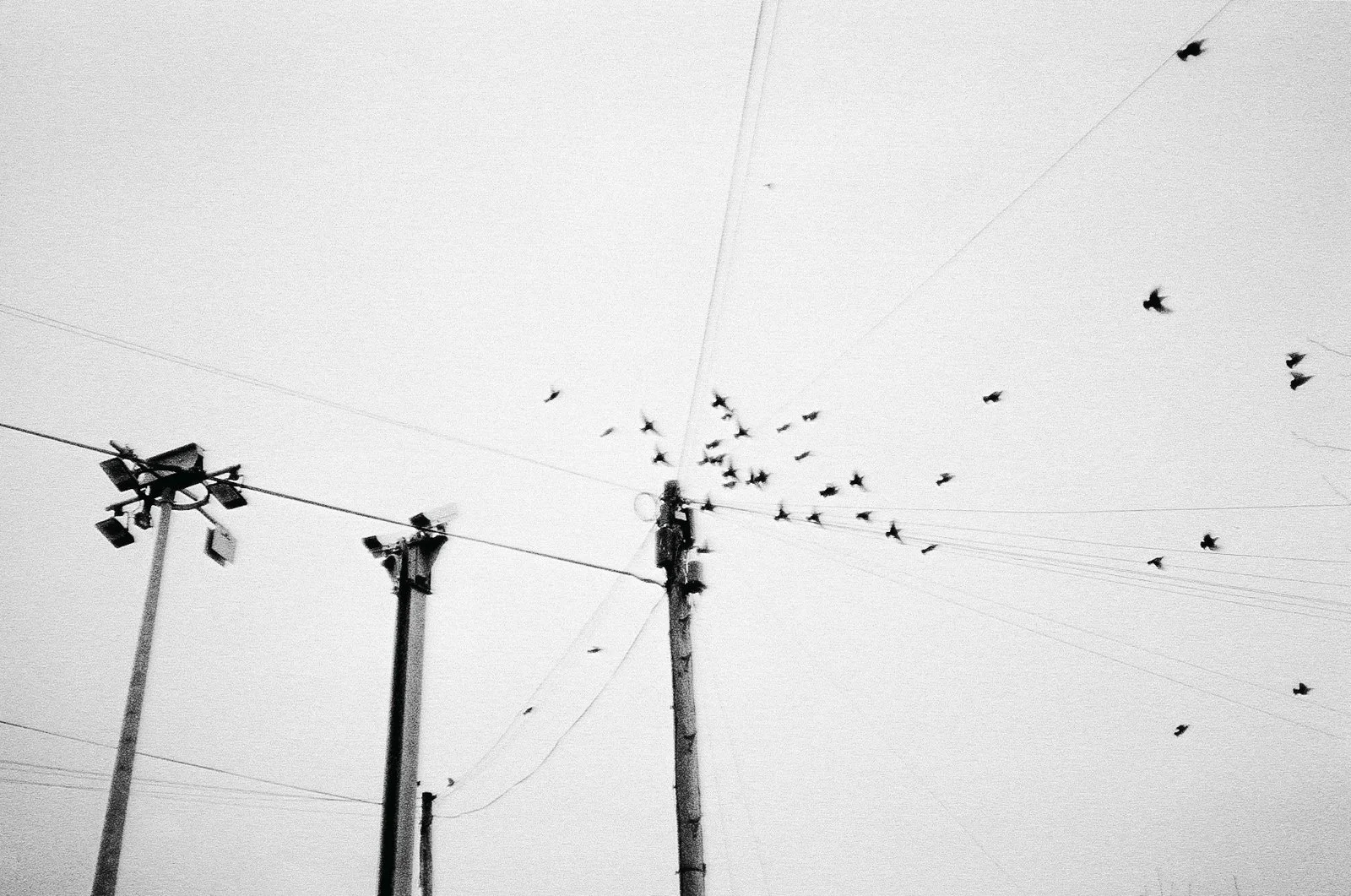 Film Photography_Mark Hanna_Web-14.jpg