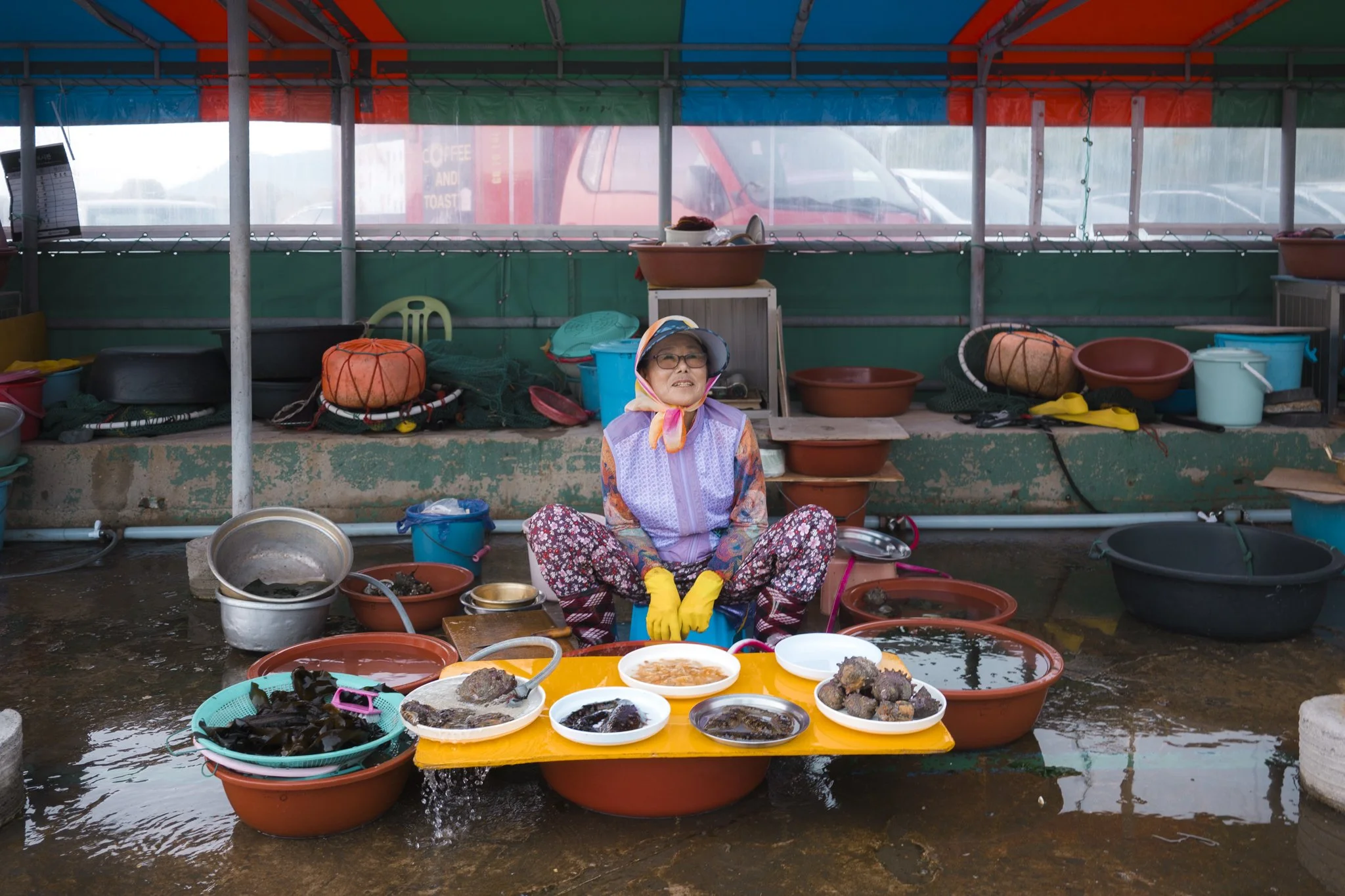 Korea_Mark Hanna_Web-29.jpg