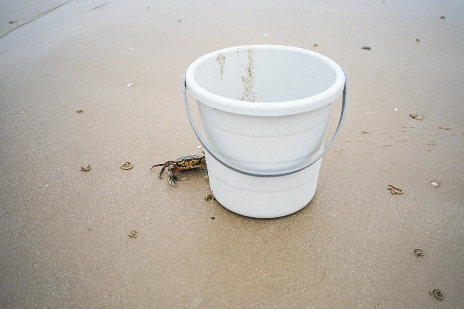 Film Photography_Mark Hanna_Web-18.jpg