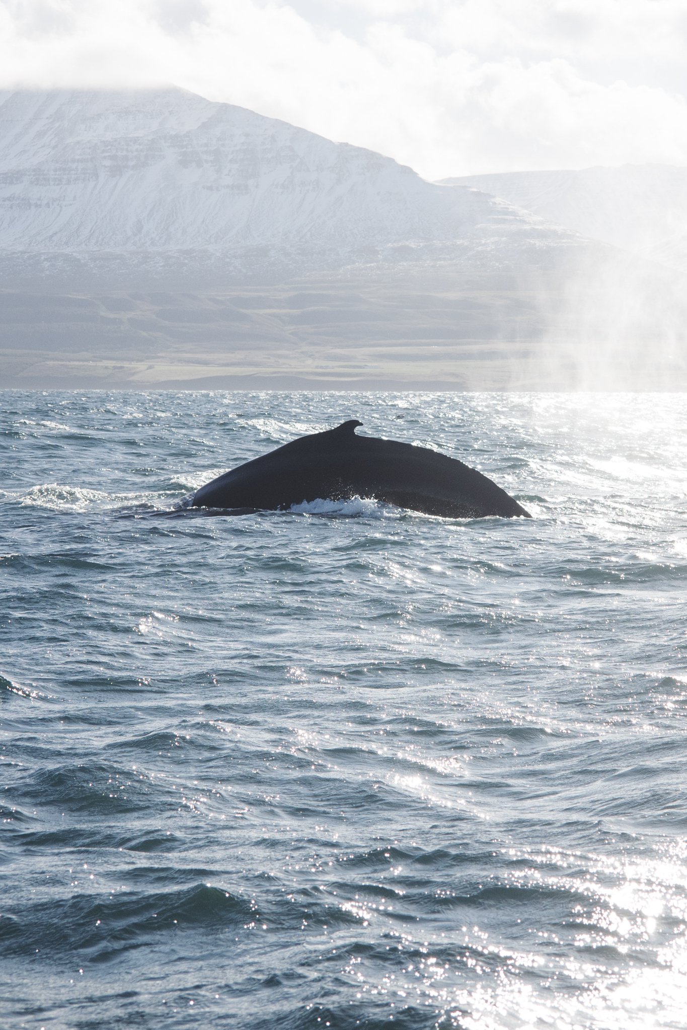 Iceland_Mark Hanna_Web-23.jpg