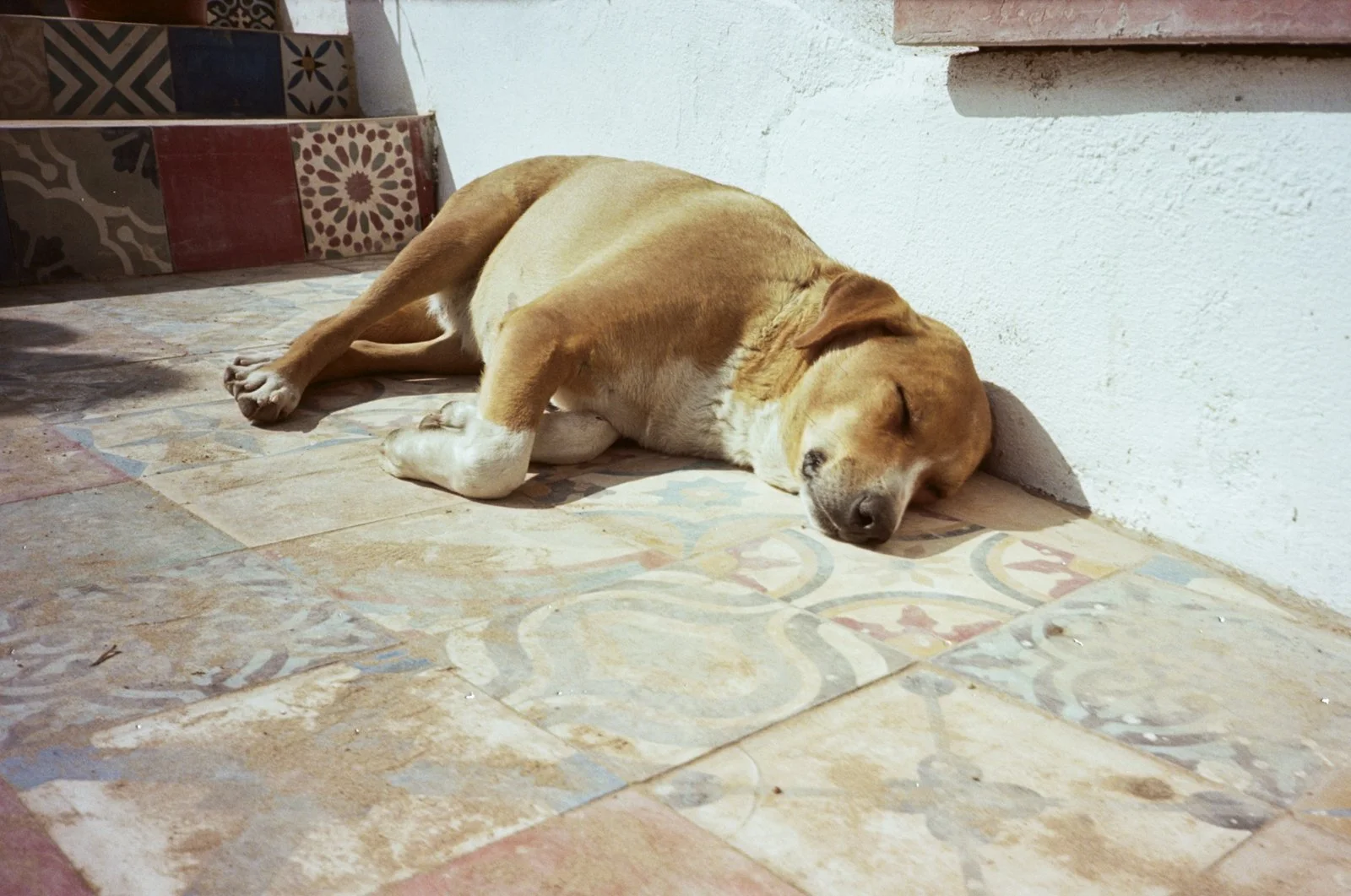 Film Photography_Mark Hanna_Web-24.jpg