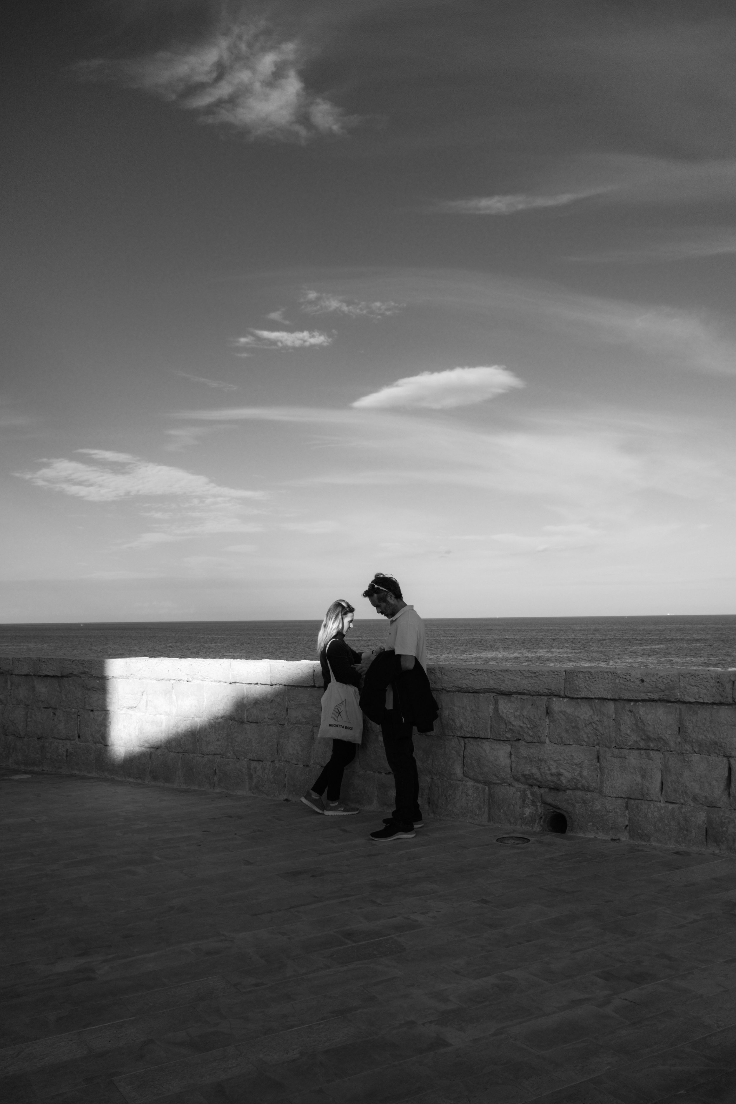 Fuji Monochrome LR Preset (po.ntandshoot)