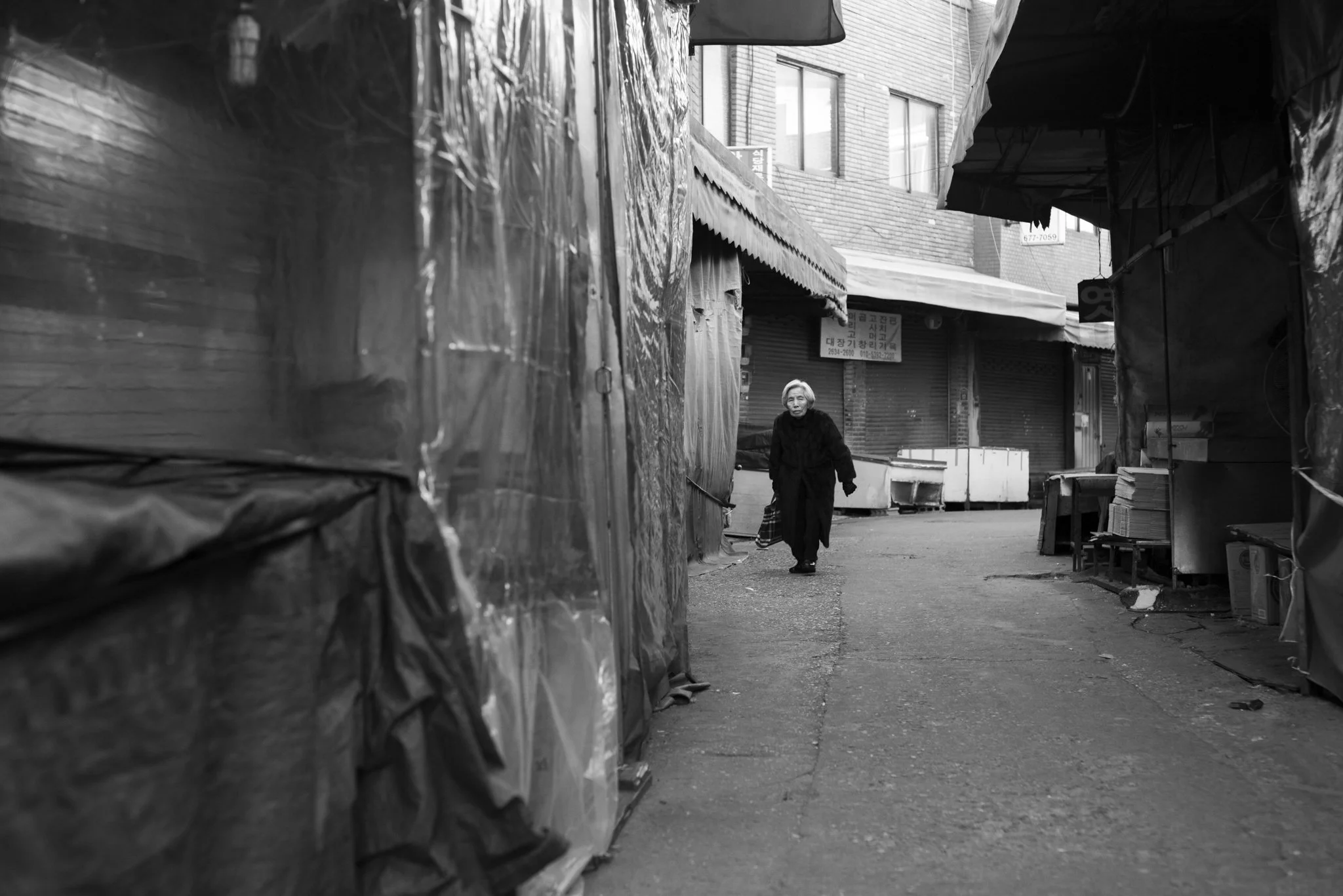 Korea_Mark Hanna_Web-3.jpg