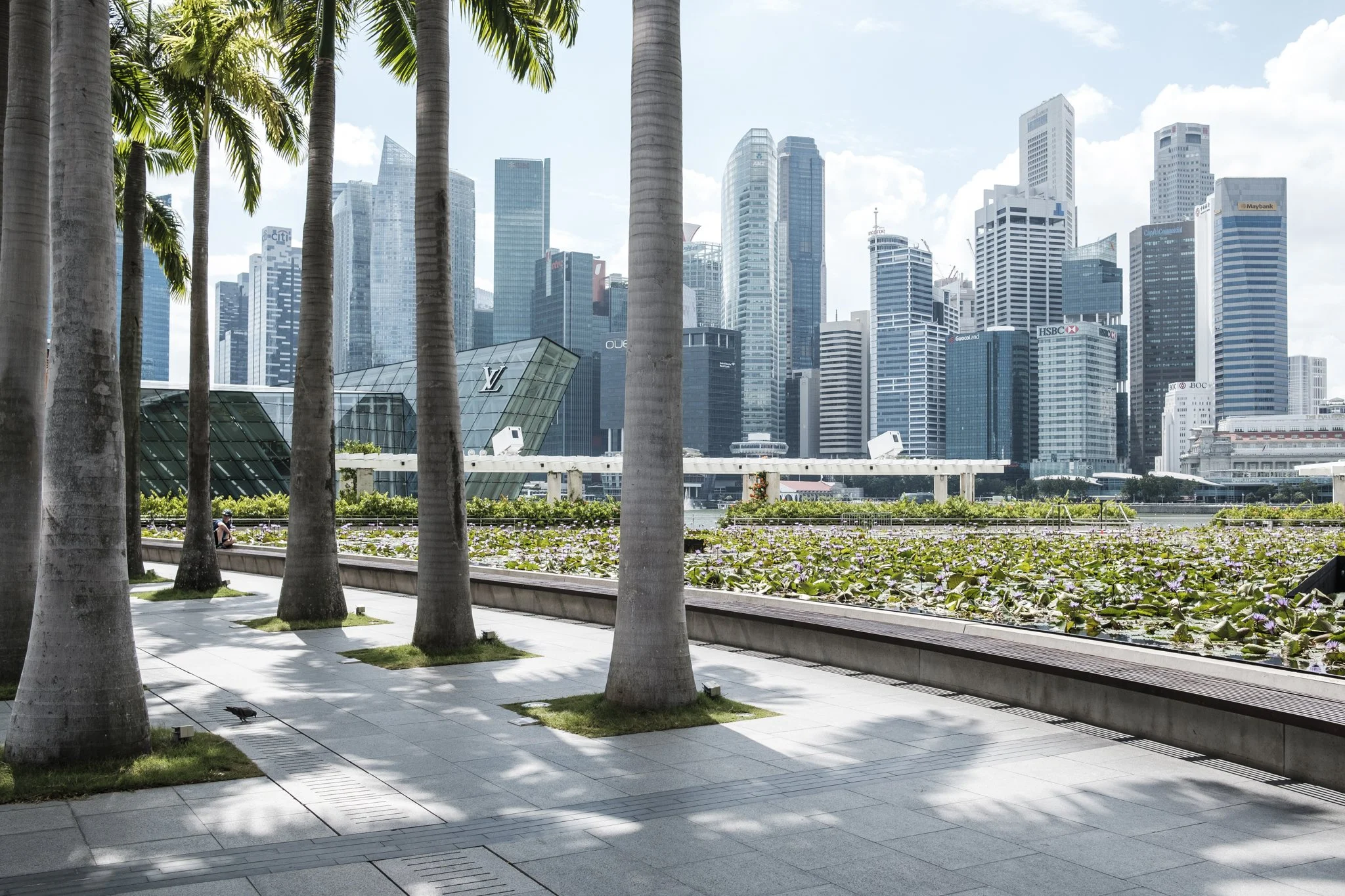 Asia_Mark Hanna_Web-6.jpg