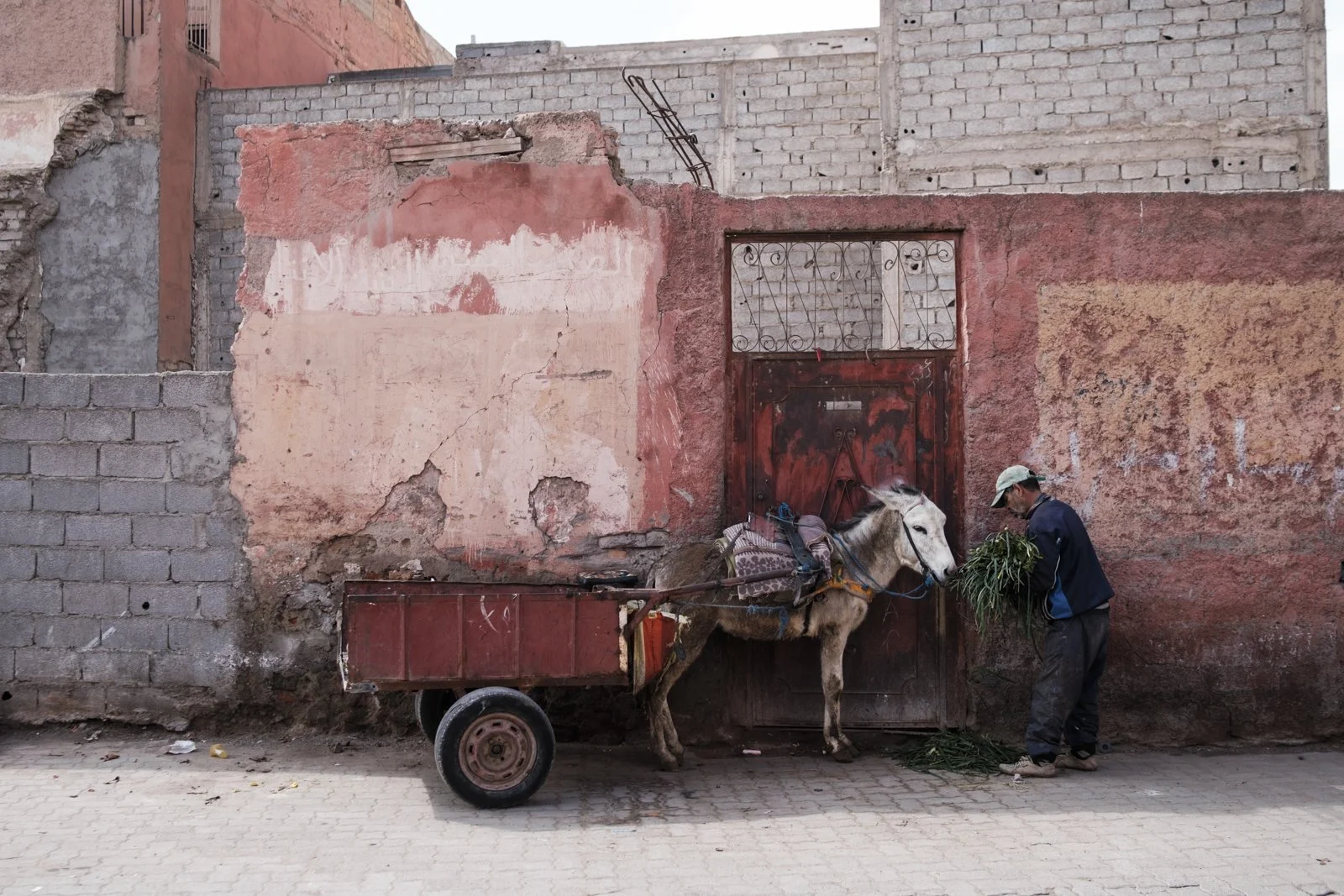 Morocco_Mark Hanna_Web-2.jpg