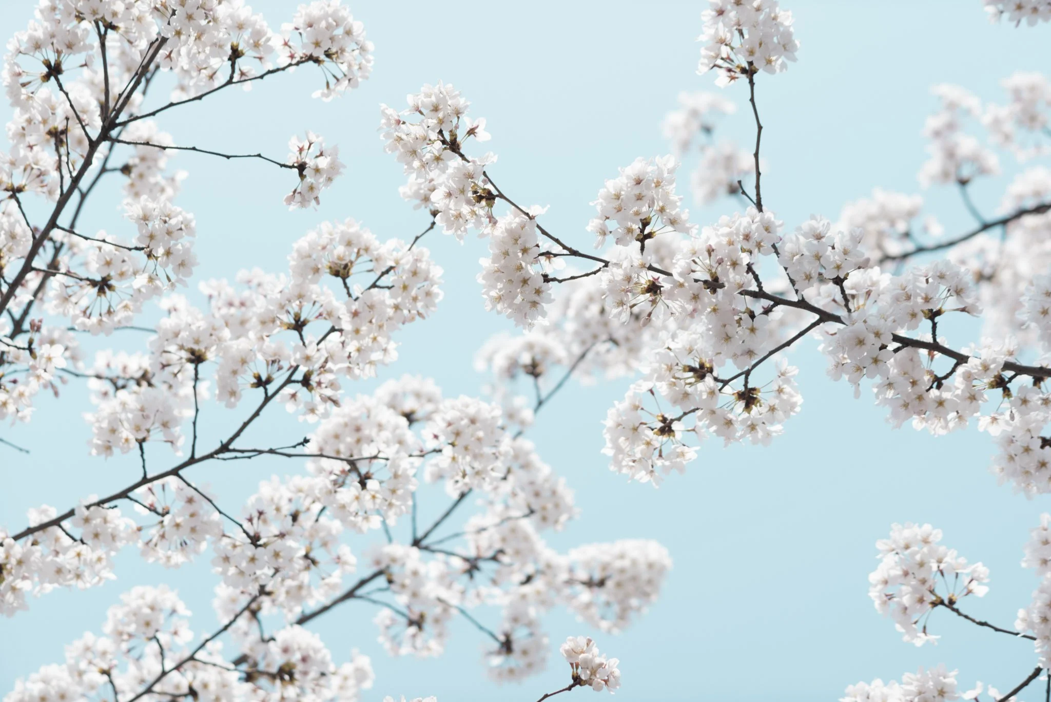 Korea_Mark Hanna_Web-8.jpg