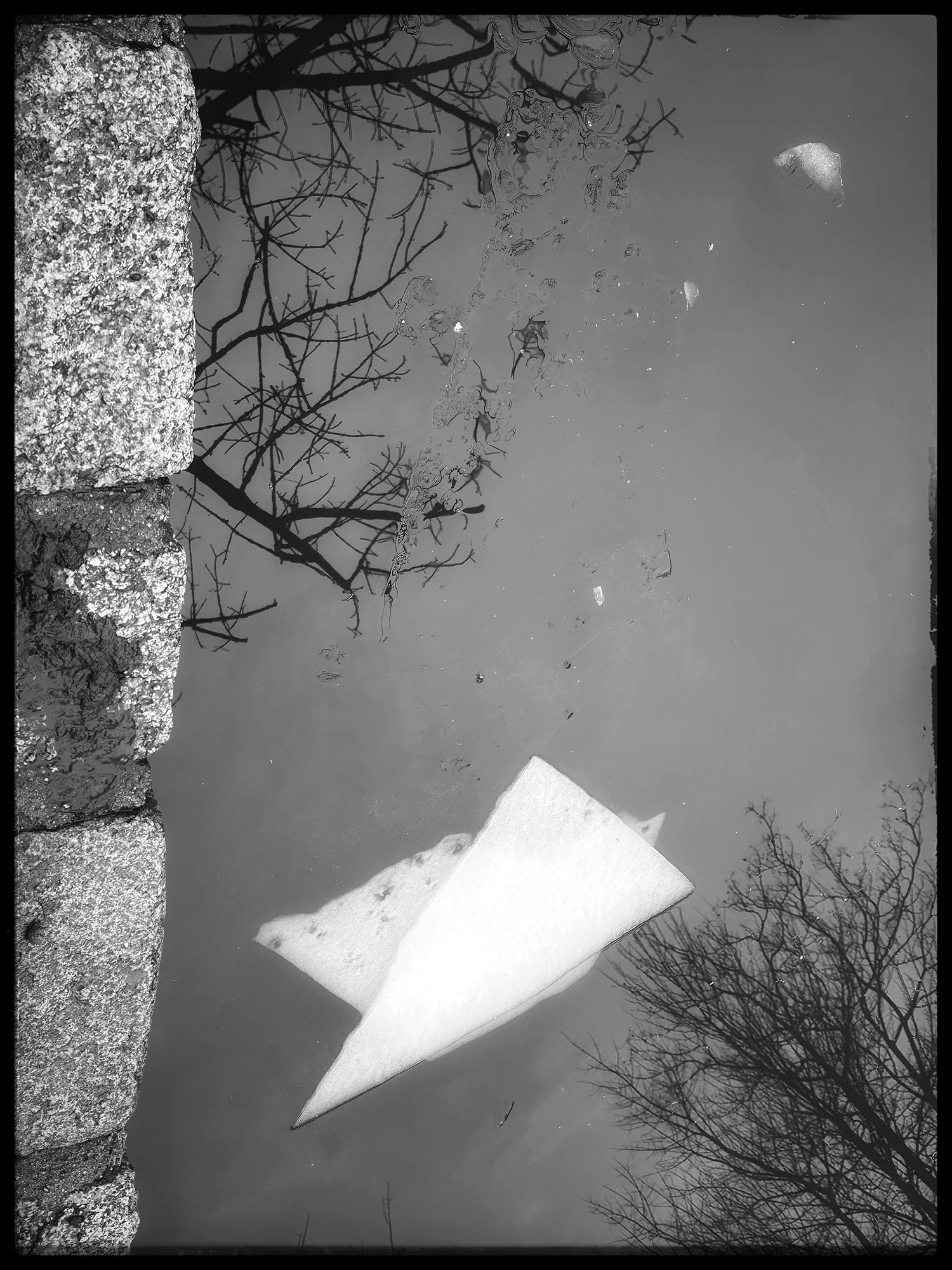 Limited Edition Print