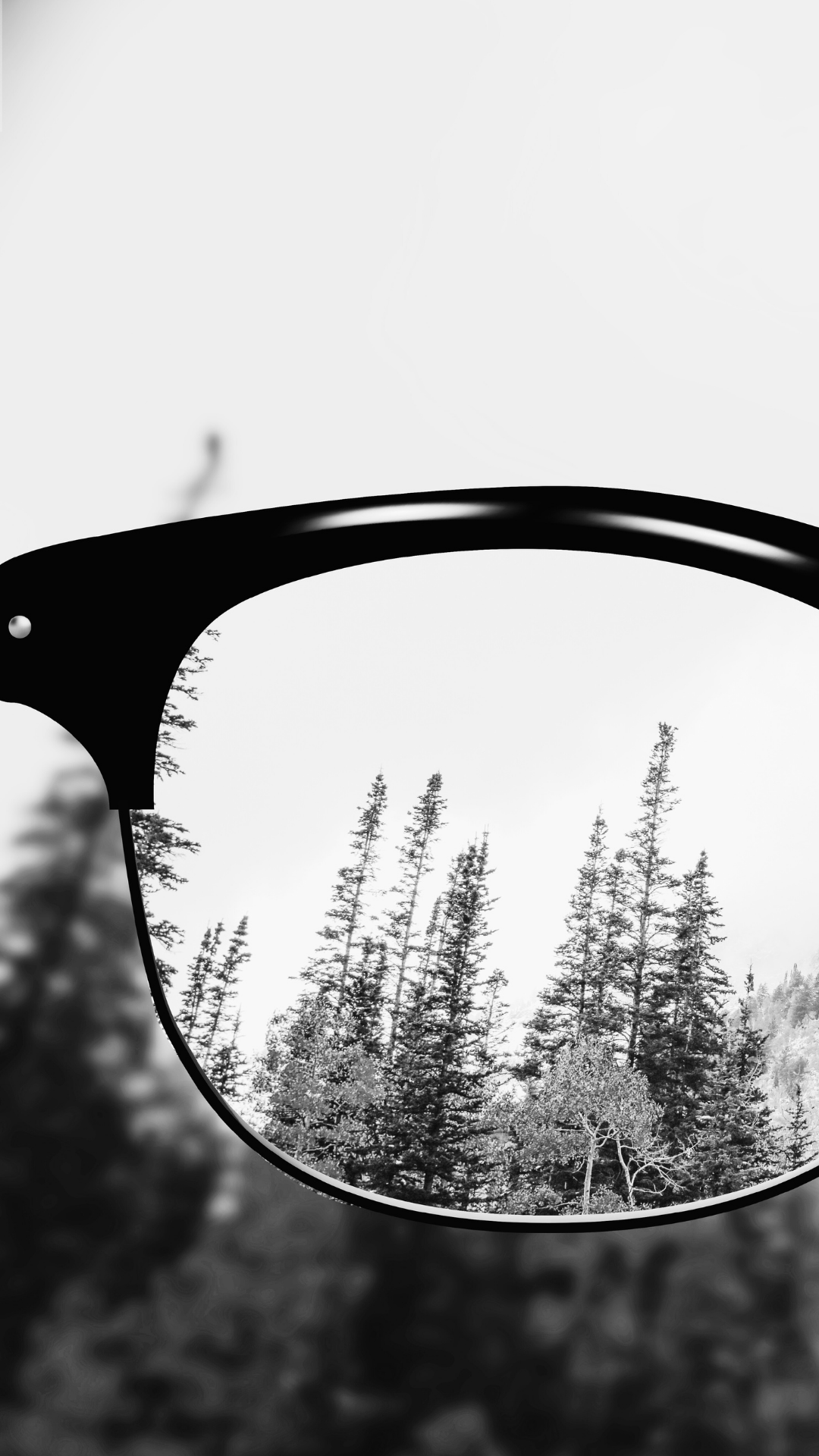 clarity experience (7).png