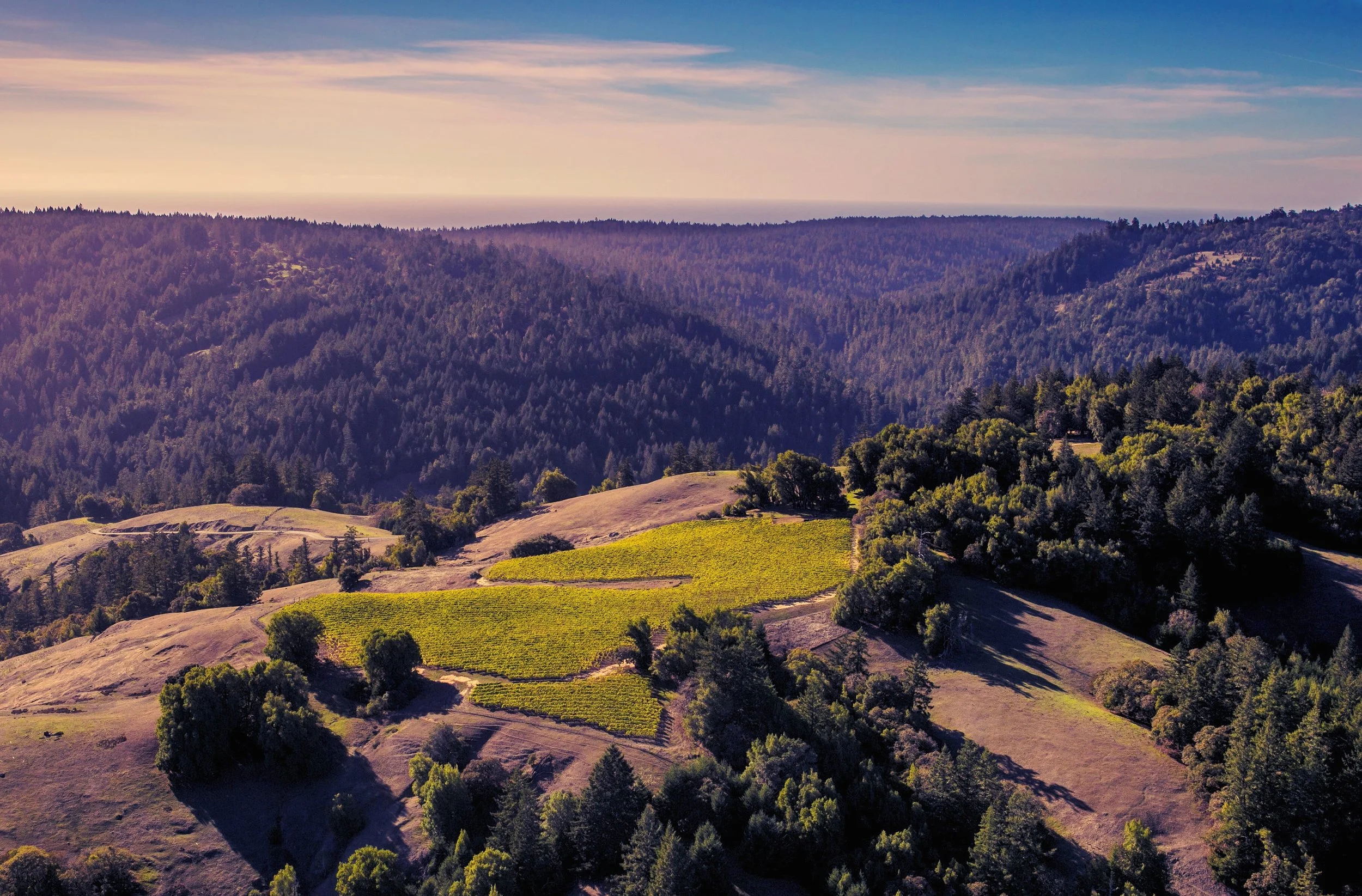 Aerial view of rolling hills covered with vineyards and forests under a partly cloudy sky.
