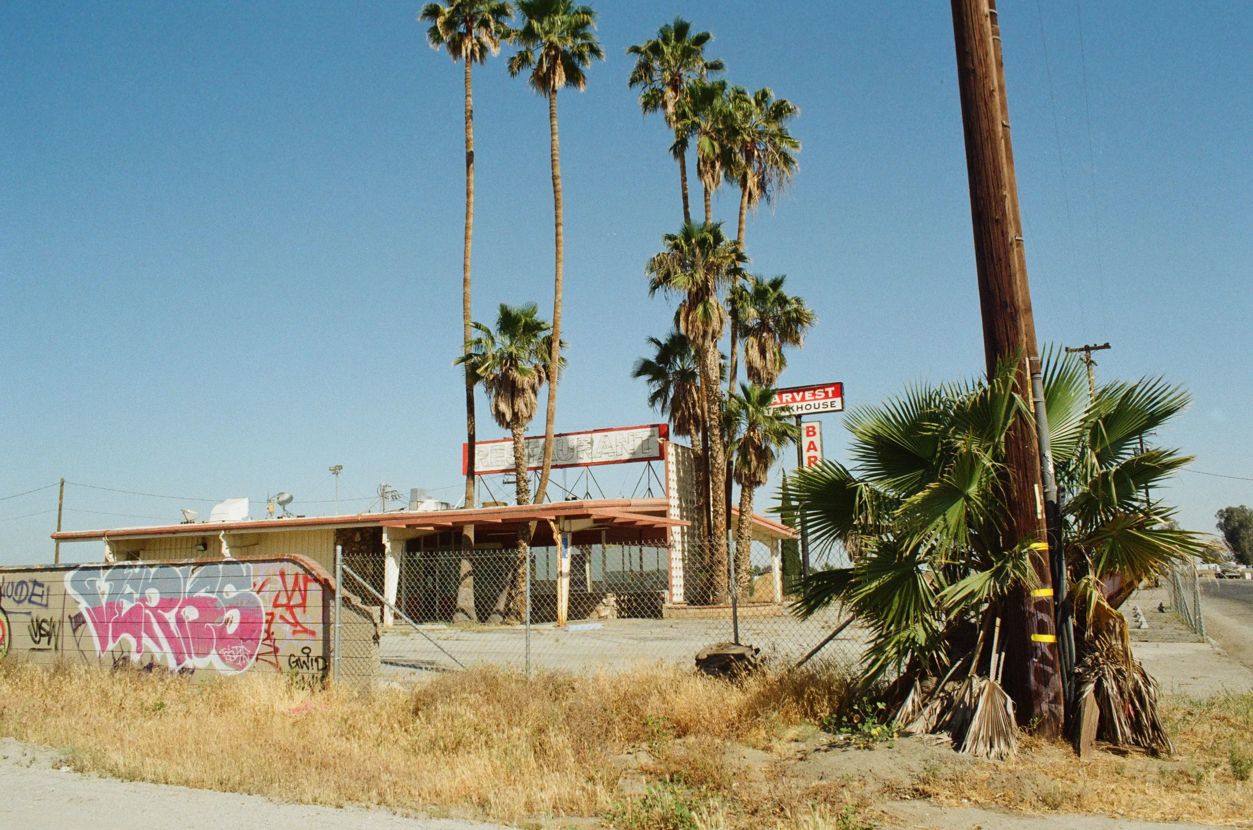 Empty lot with dry grass, graffiti-covered utility box, chain-link fence, tall palm trees, and a building with a sign that reads 'Restaurant' and 'Bar,' a telephone pole, and a clear blue sky.