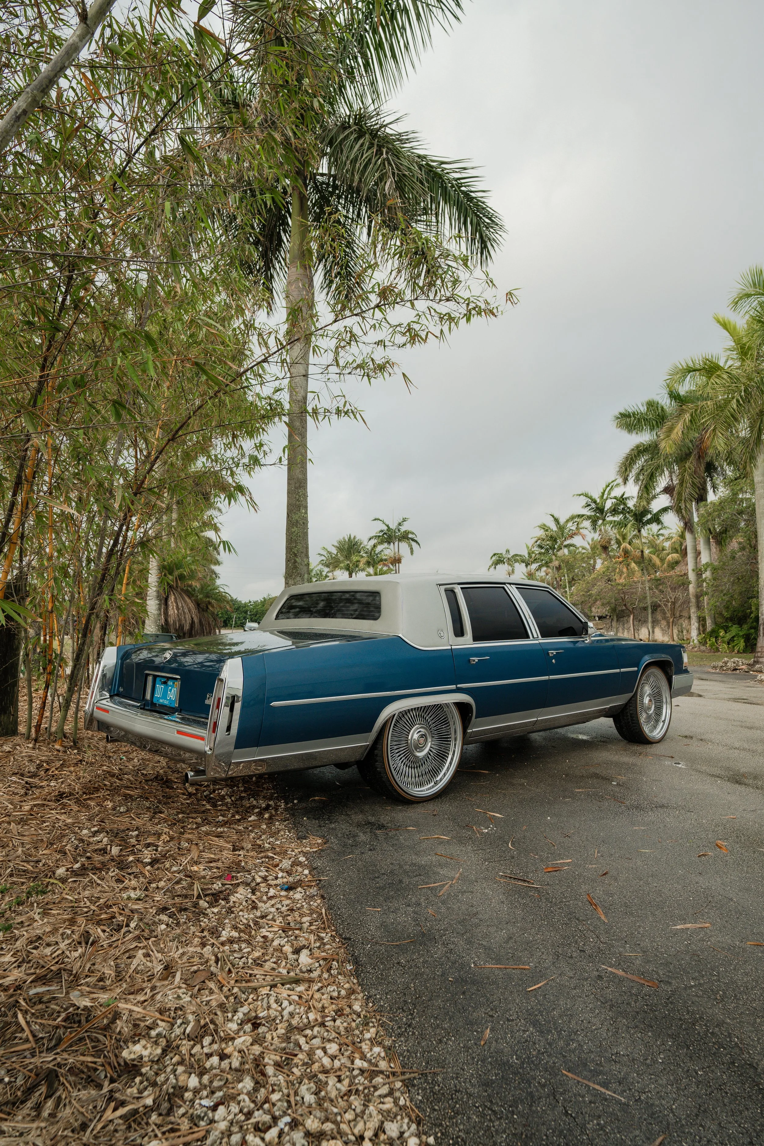 A vintage blue and silver Cadillac parked next to a sidewalk with palm trees and overcast sky in the background.