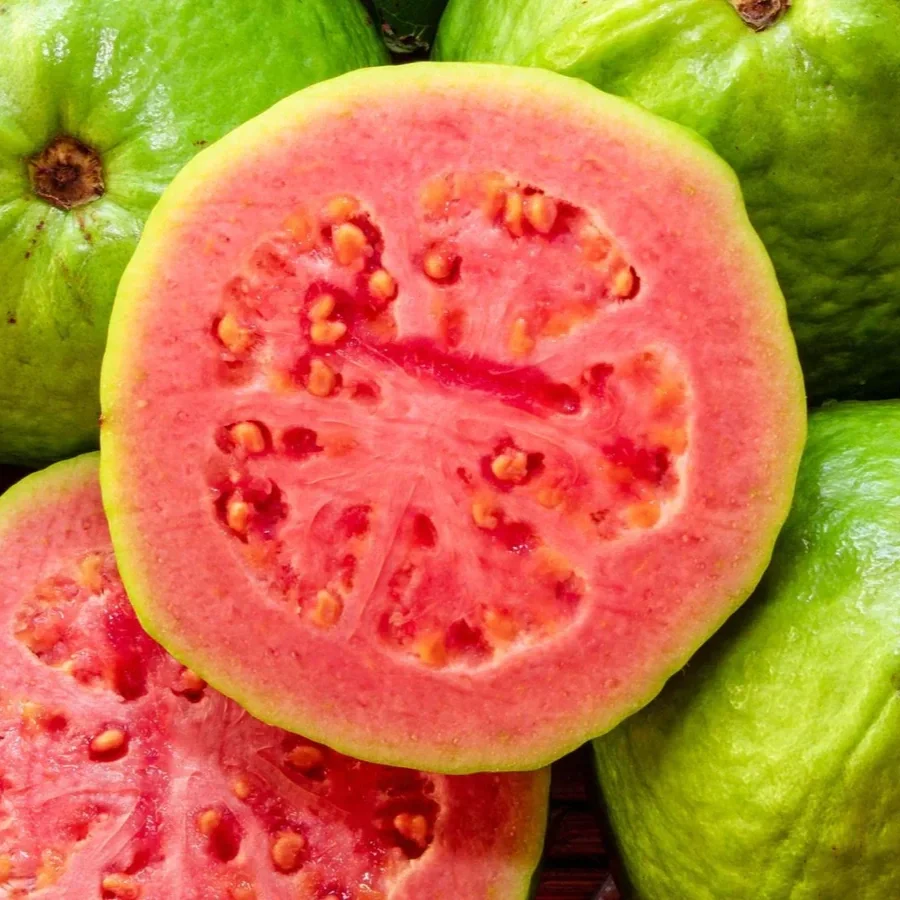 Guava
