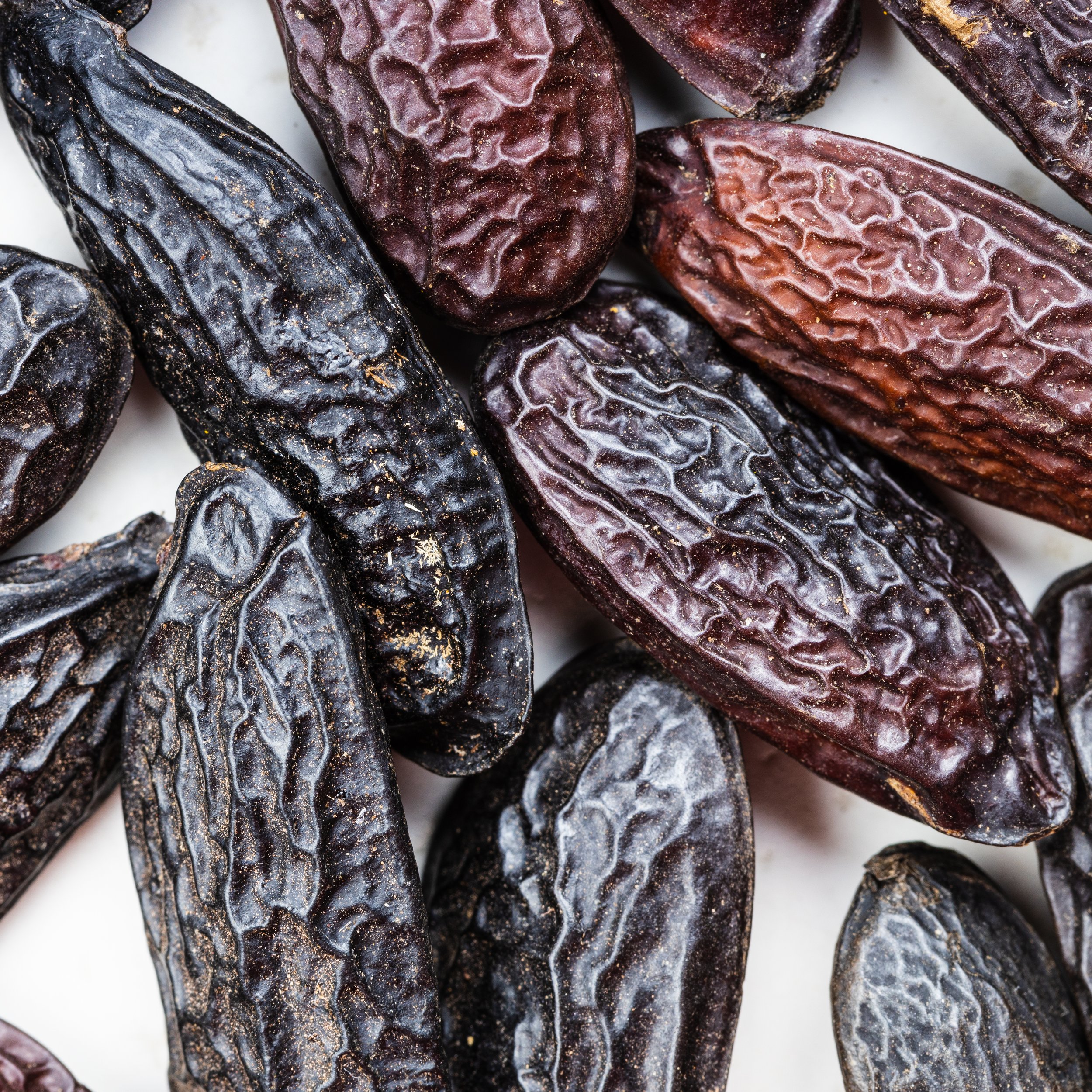 several-dried-tonka-beans-close-up-2026-01-05-06-01-04-utc.jpg