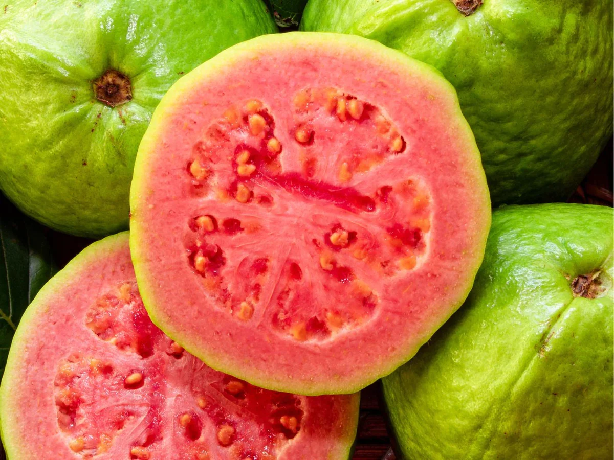 Guava
