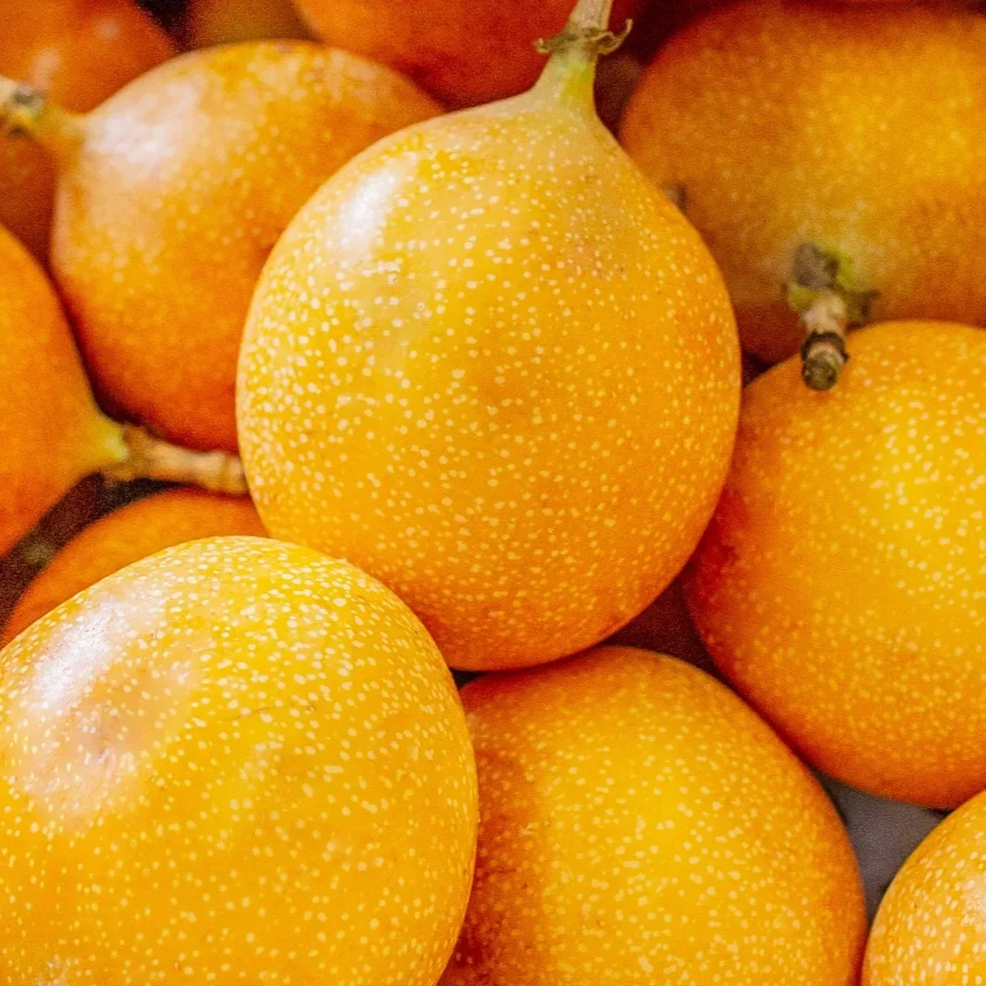 Granadilla Passion Fruit