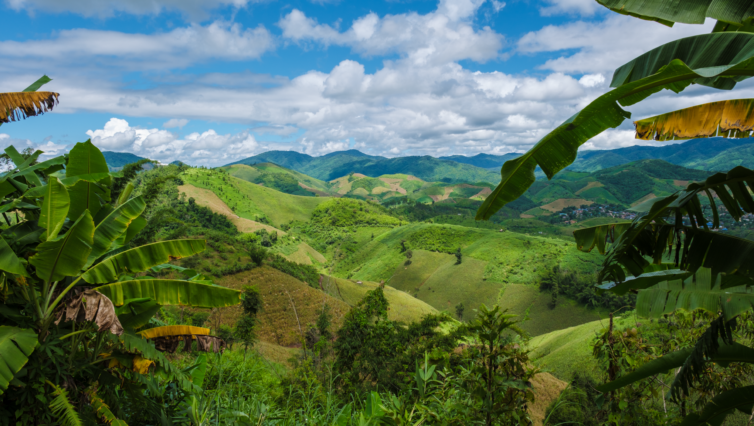 Lush green rolling hills with banana plants in the foreground under a partly cloudy sky.