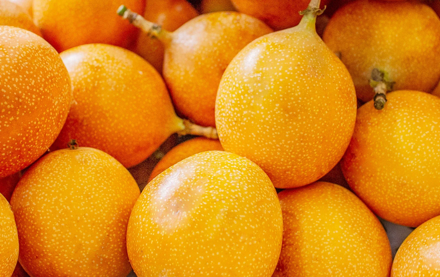 Granadilla Passion Fruit