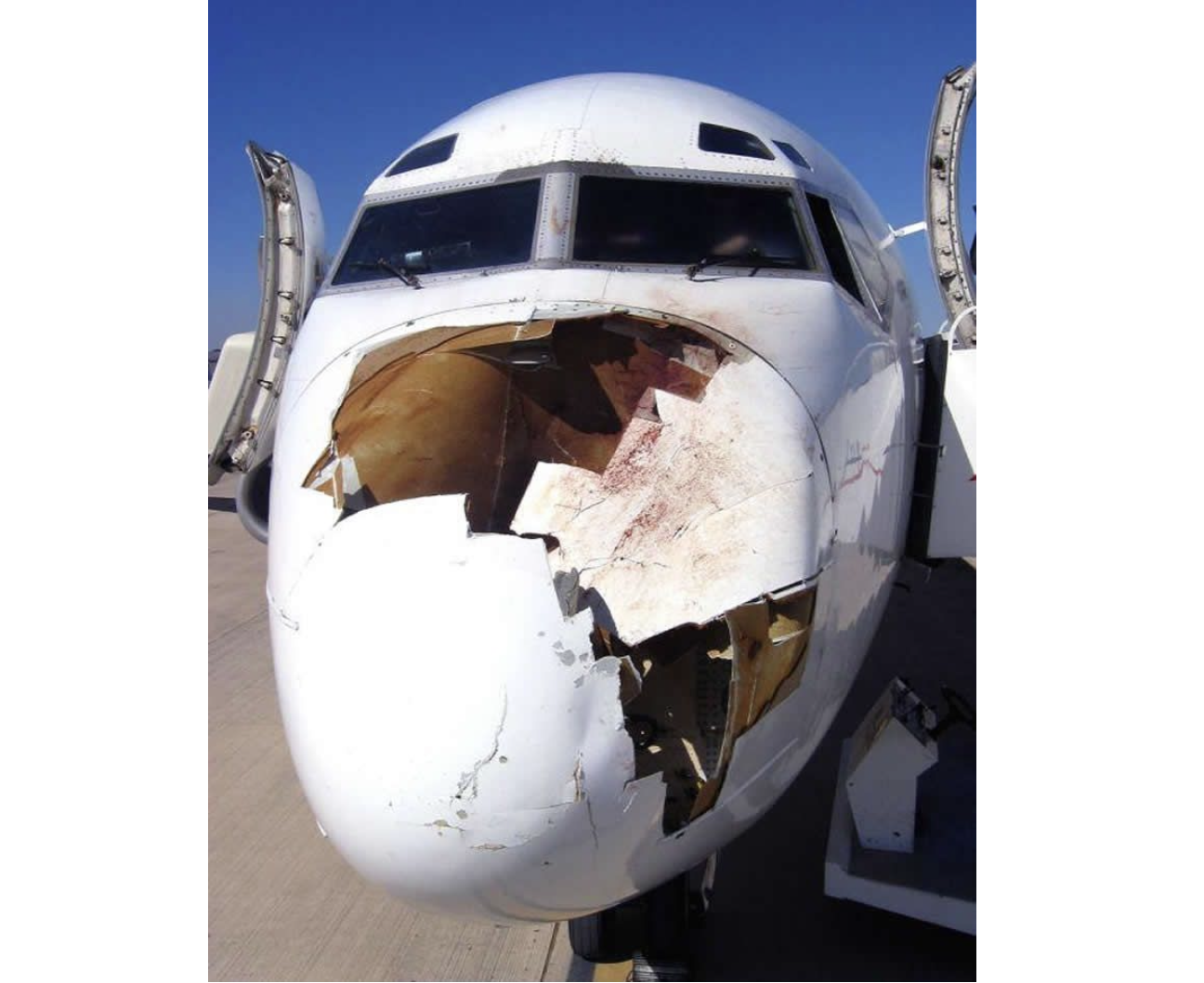 Bird Damage Question Mark.png