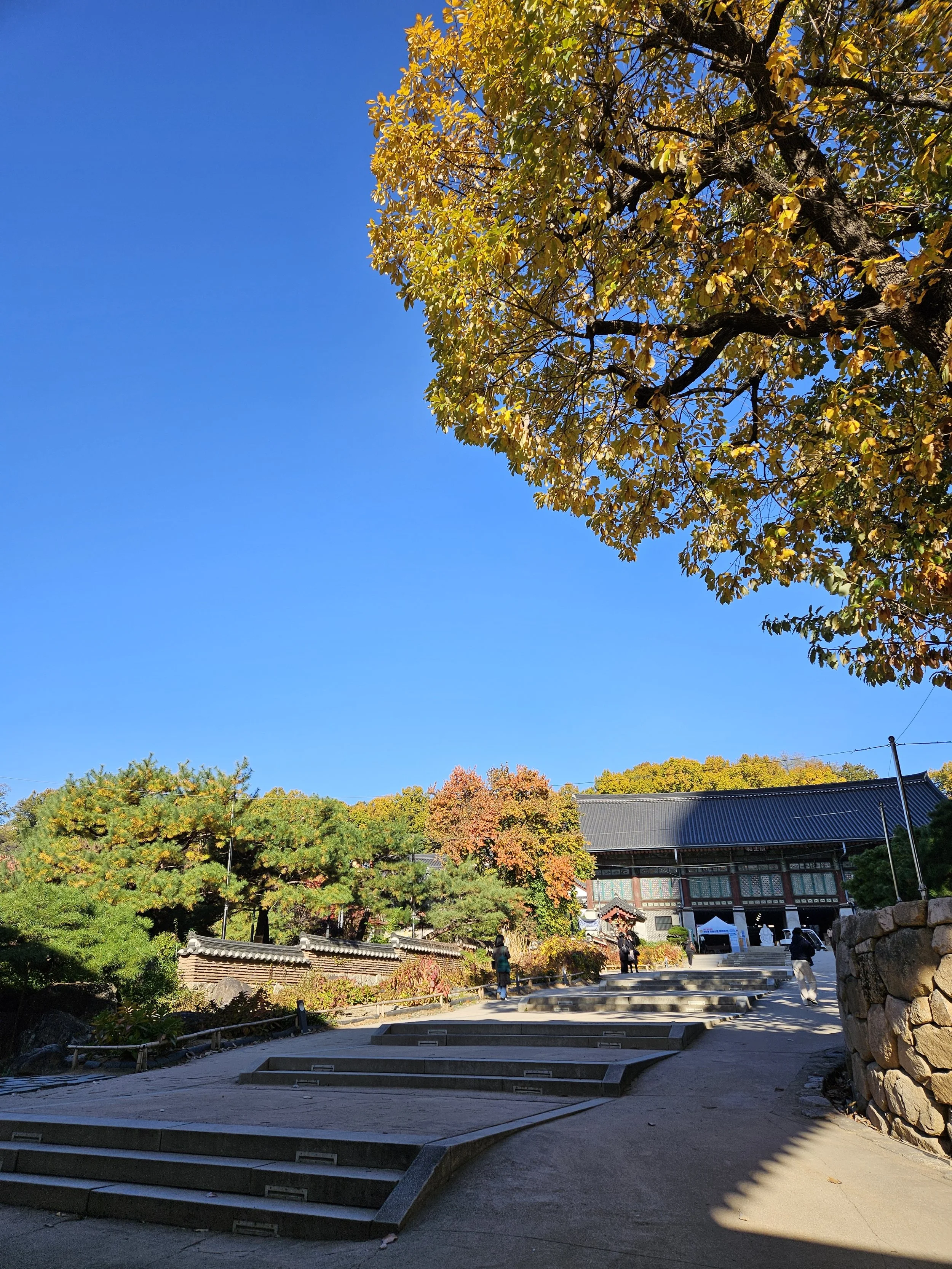 Best Korea Skincare Treatments for Visitors (2026 Guide)