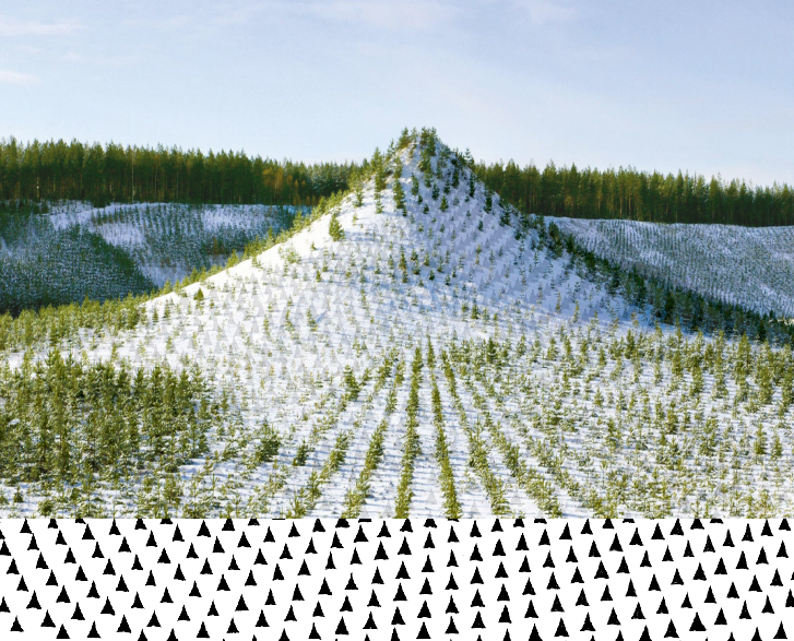 Contemporary Art practices and the Anthropocene