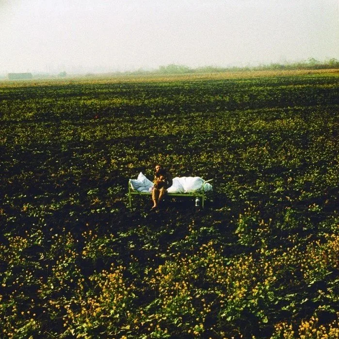 Down to Earth. Contemporary art, nature, and other-than-human