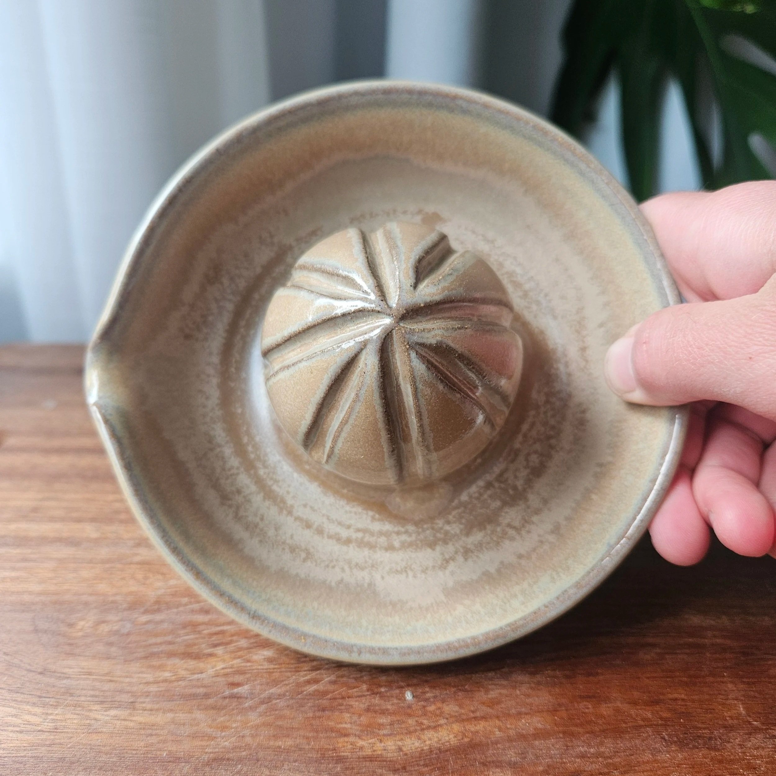 Citrus Juicer - Mottled Beige