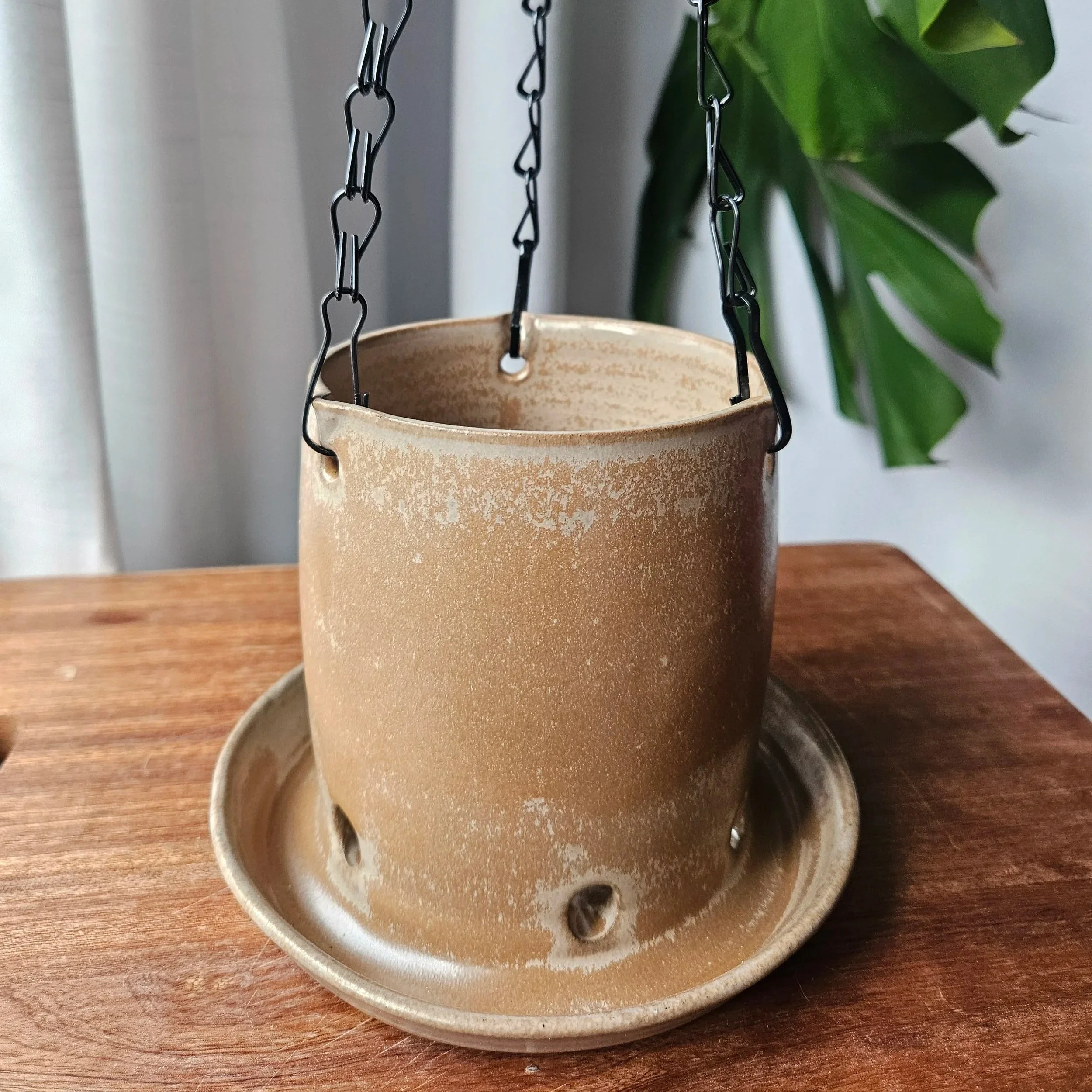 Hanging Planter - Oyster
