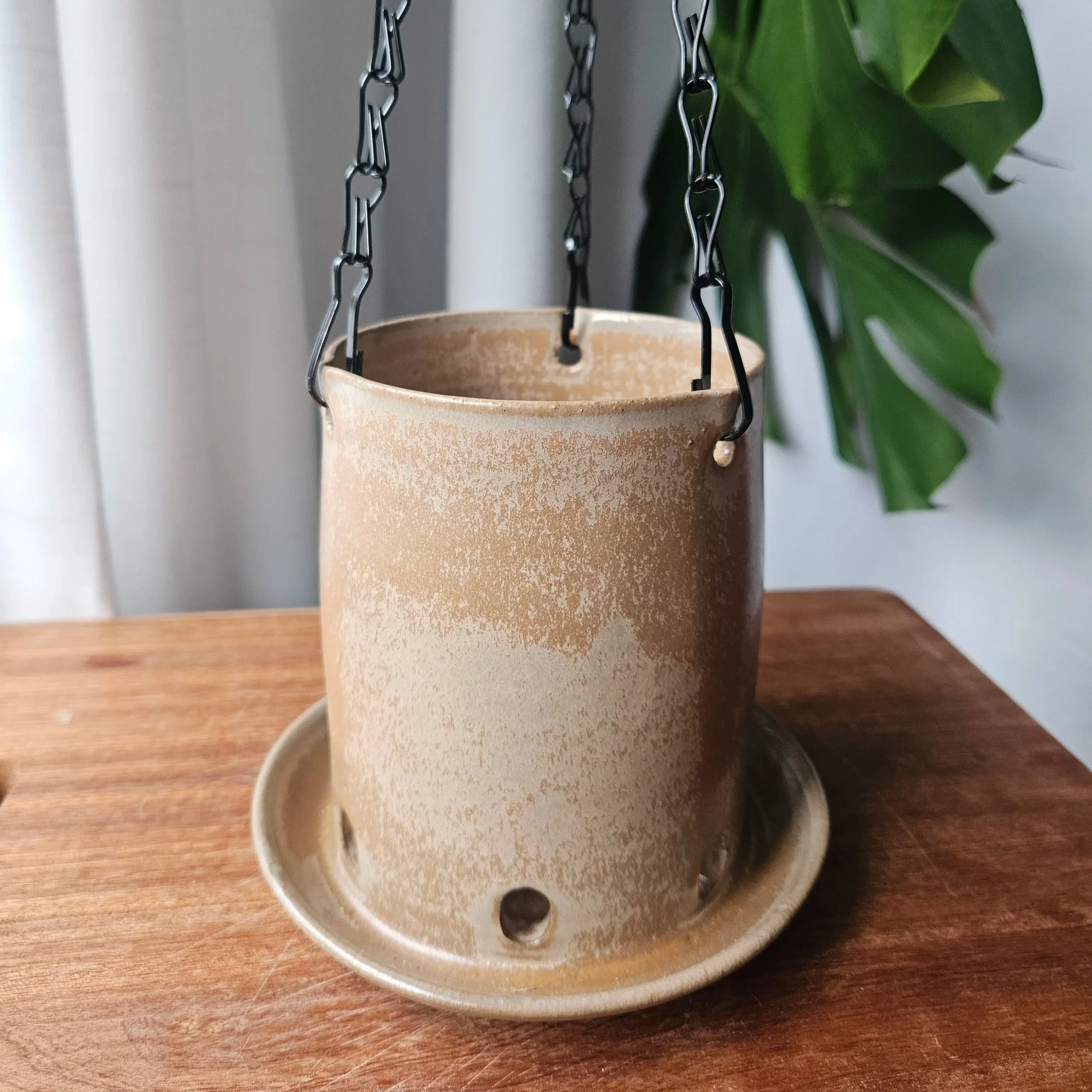 Hanging Planter - Oyster