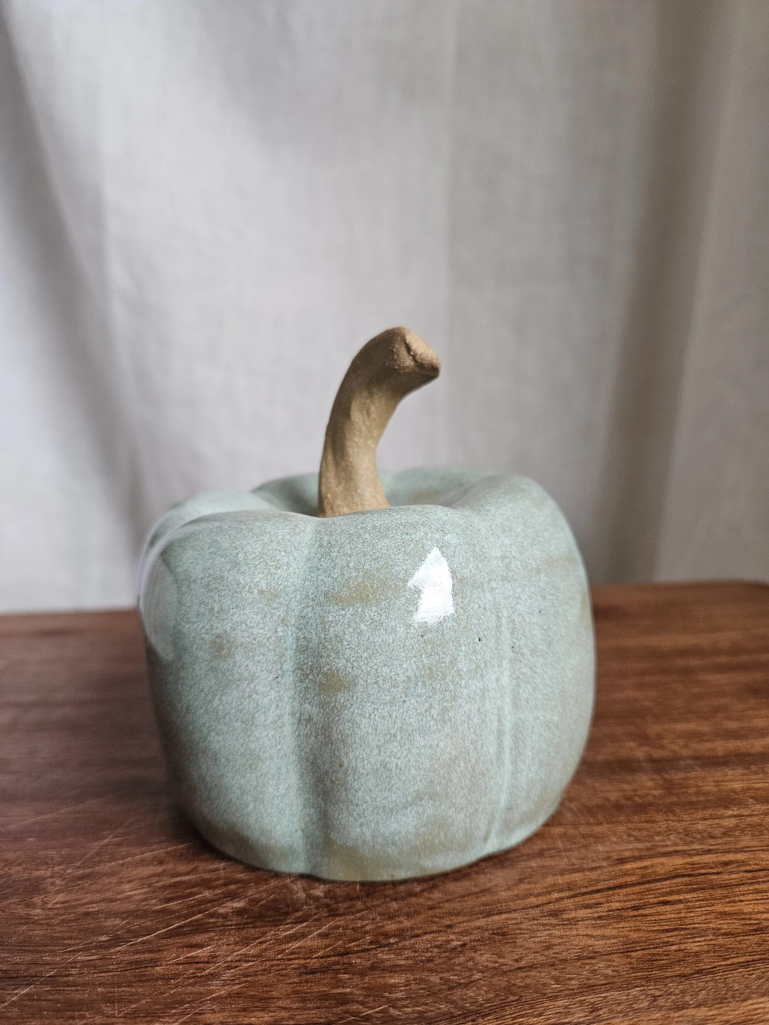 Heirloom Pumpkin - Teal