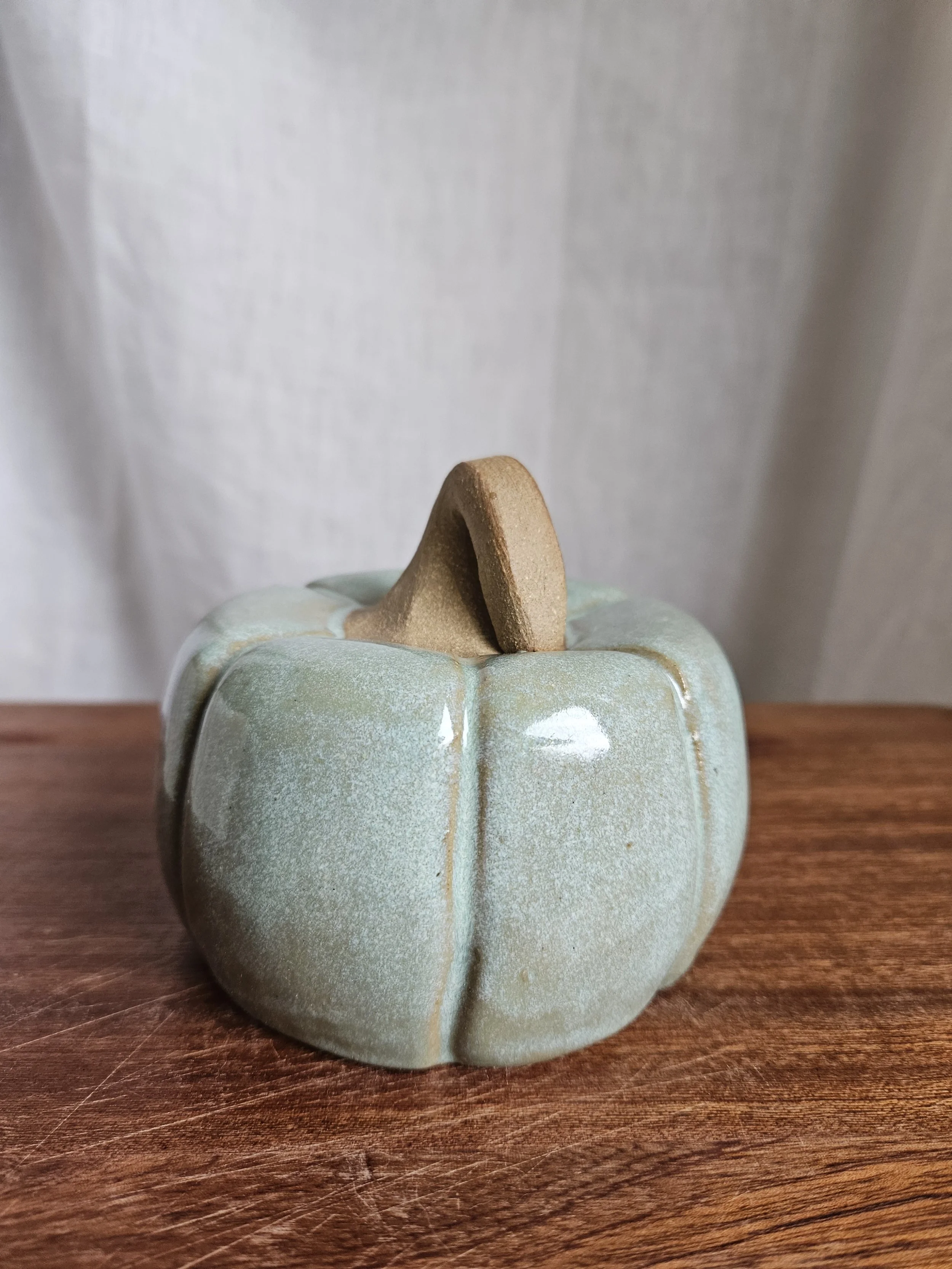 Heirloom Pumpkin - Teal