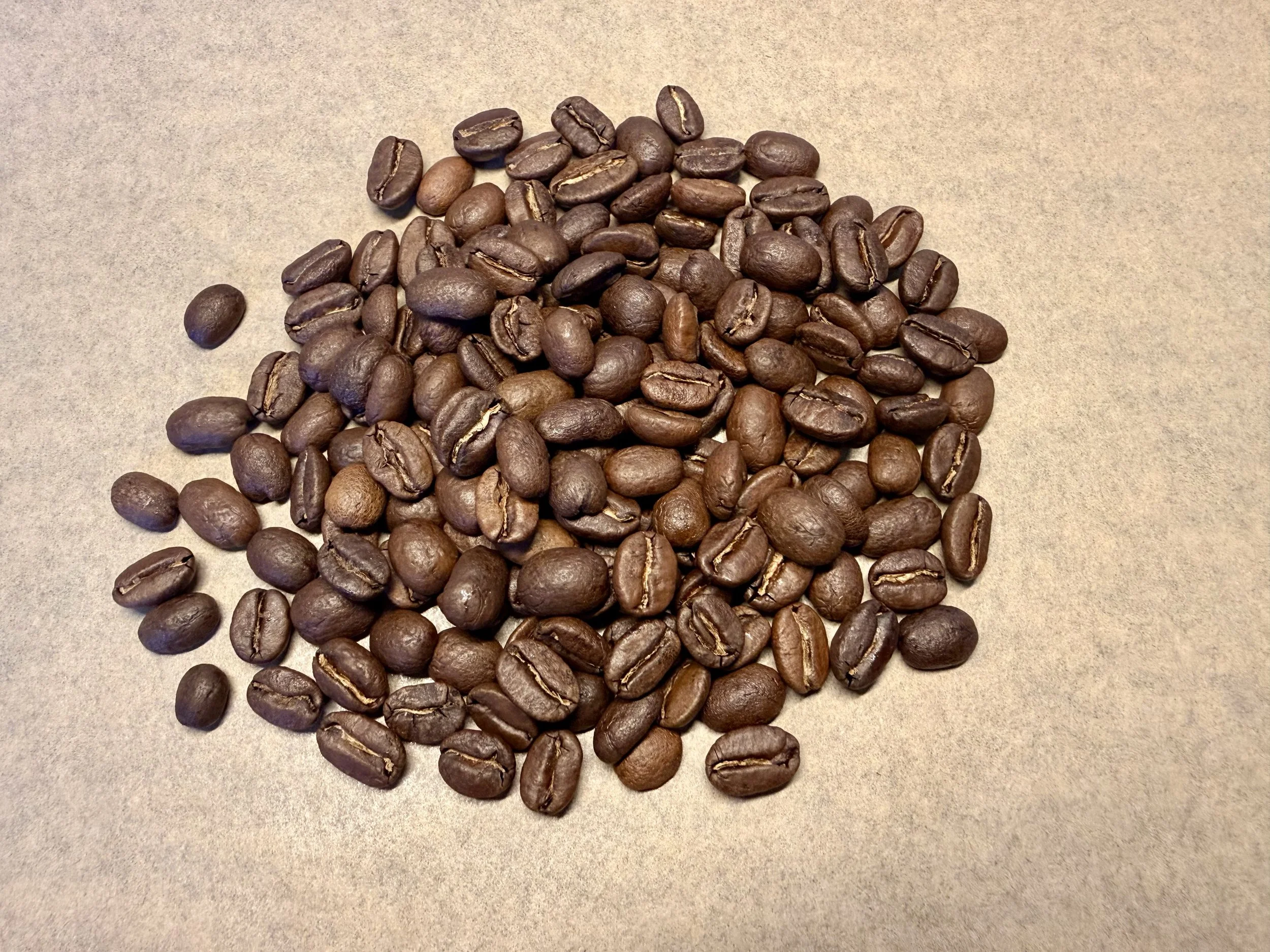 bean.jpeg