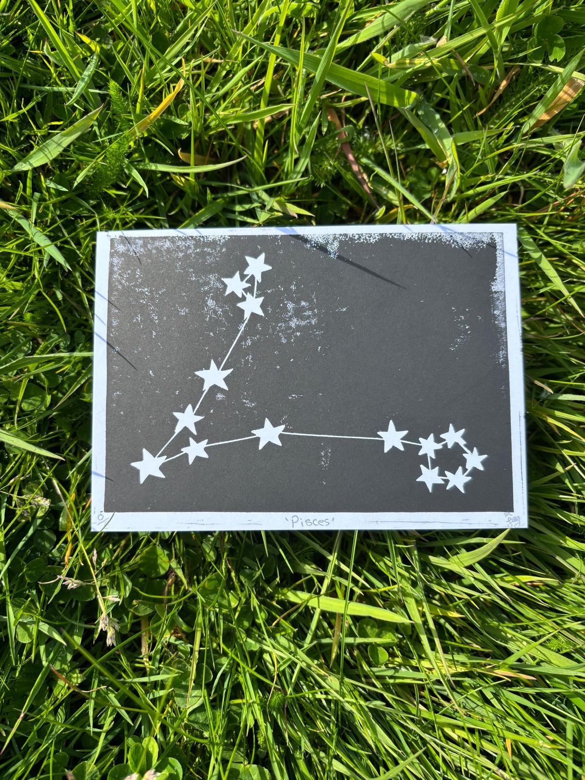 Pisces Constellation