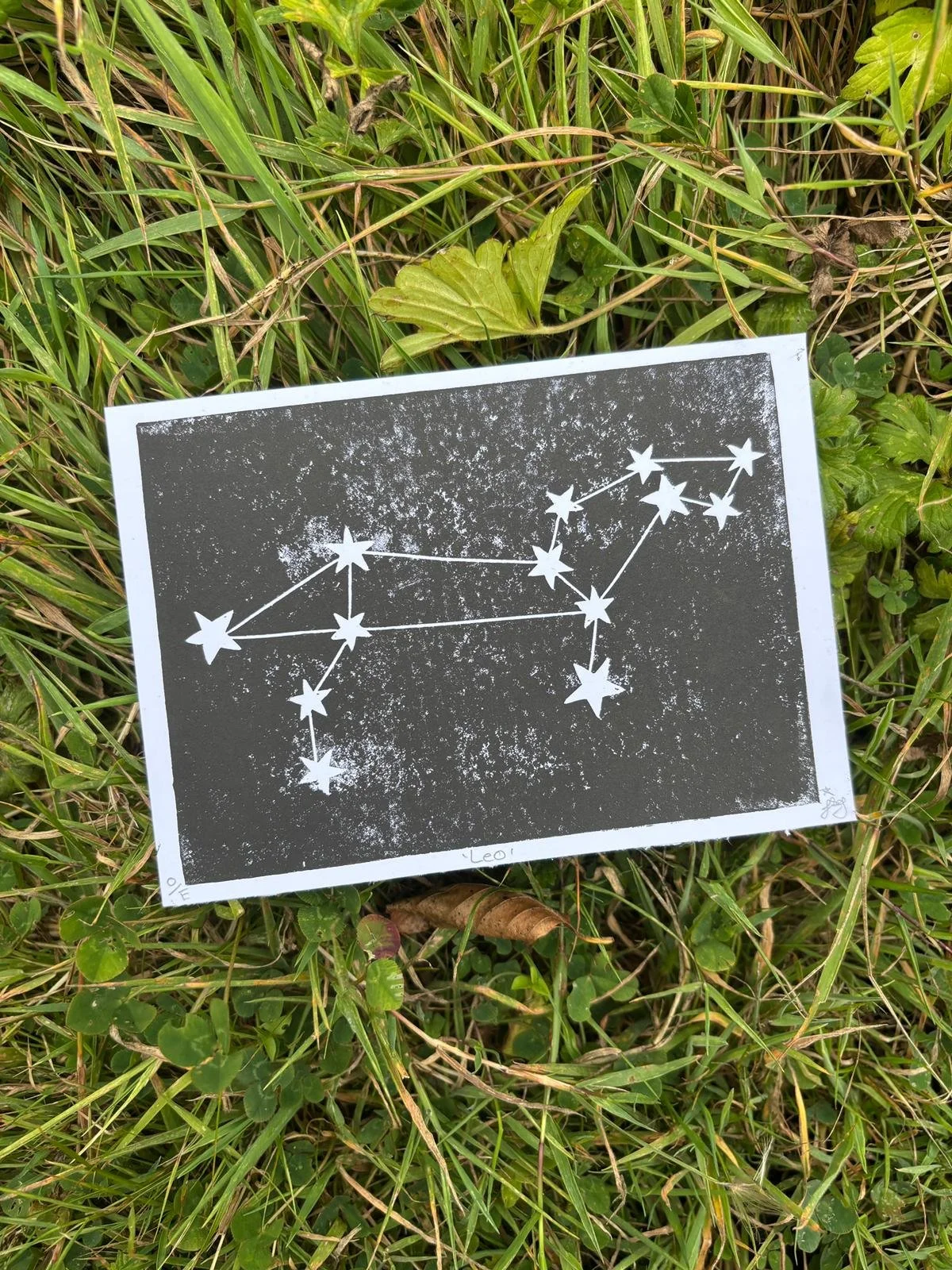 Leo Constellation