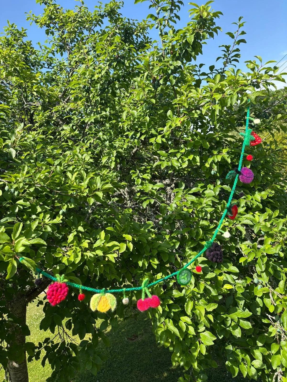 Fruity Garland 2.jpeg