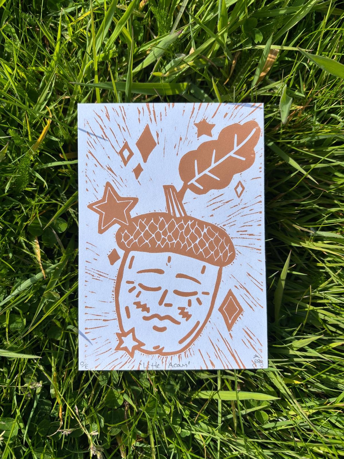 Little acorn 1.jpeg