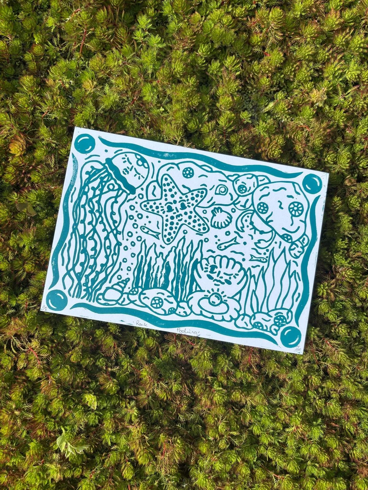 Rock Pooling
