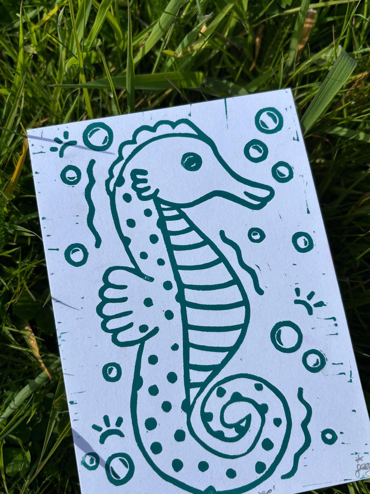 Mr Seahorse 1 - Closeup.jpeg