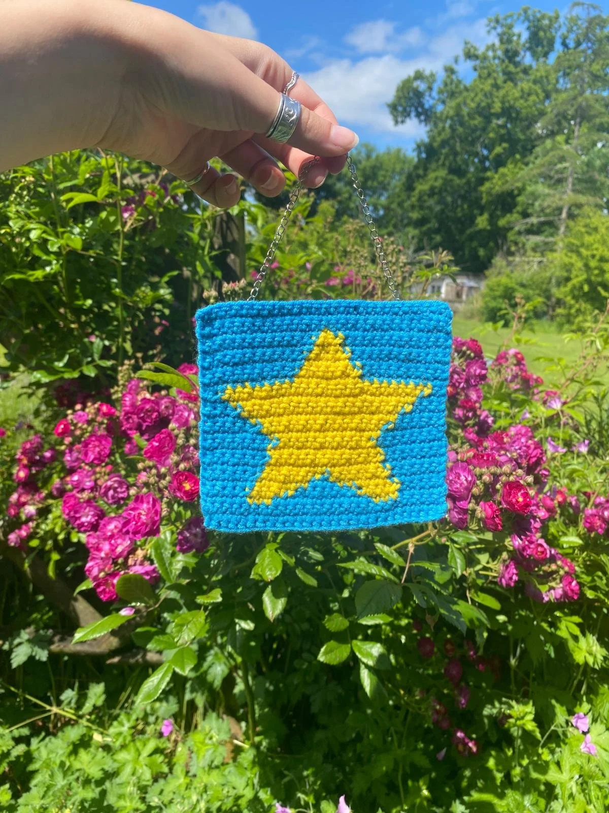Mini Star Tapestry.jpeg