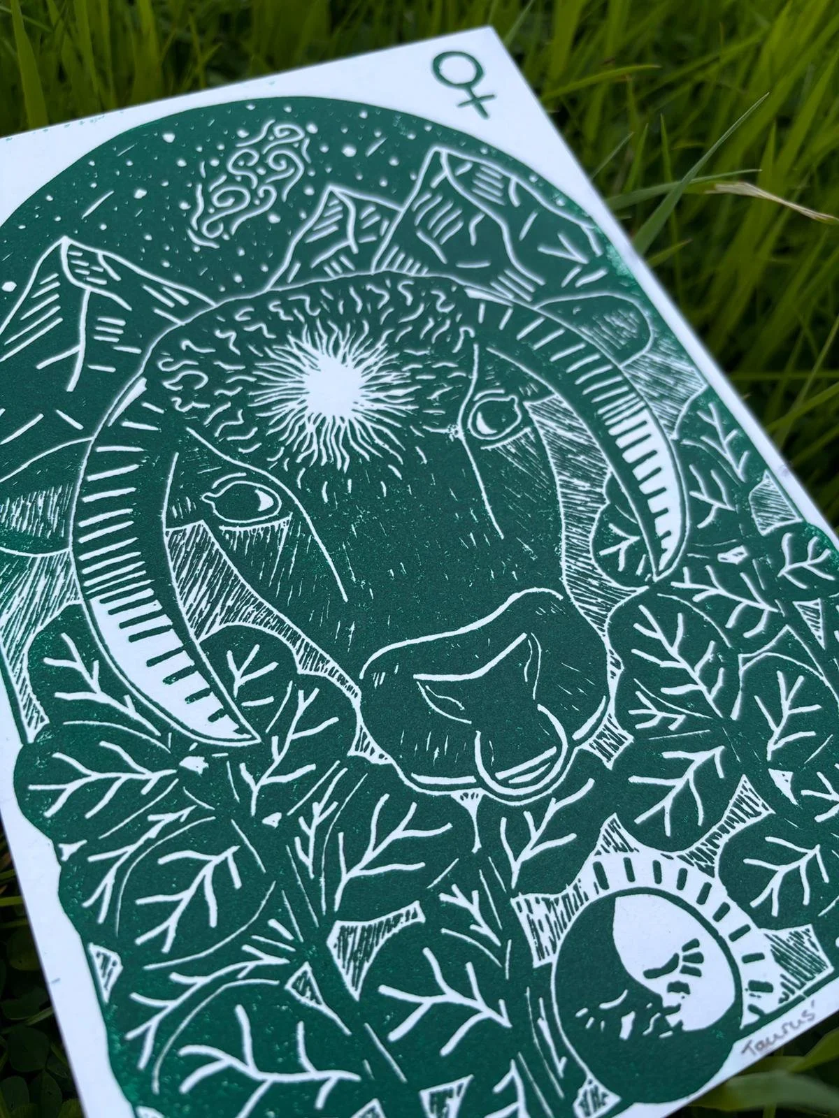 Zodiac V ~ Taurus - closeup.jpeg