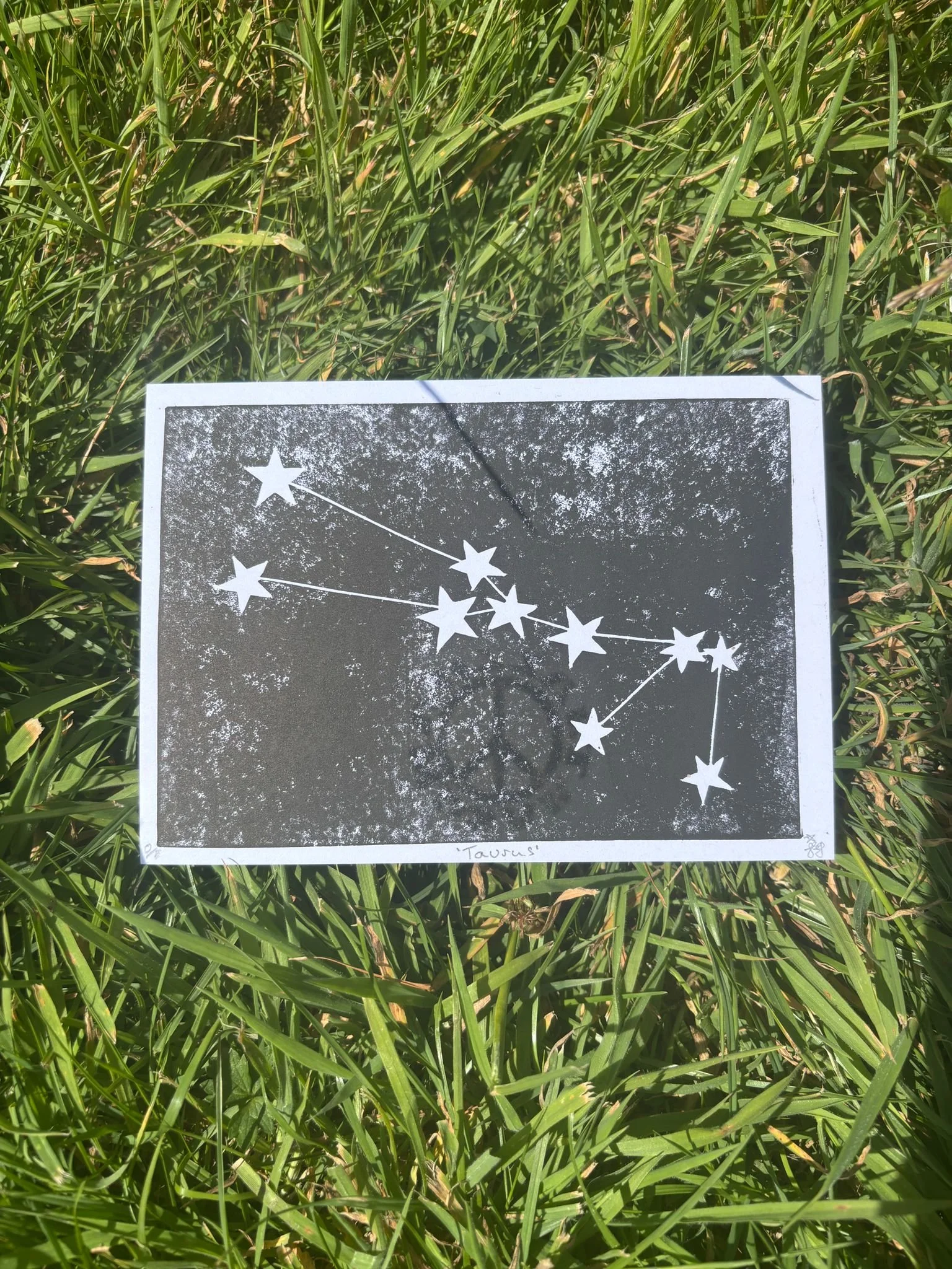 Taurus Constellation