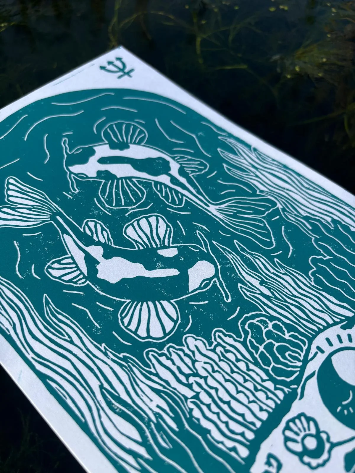 Zodiac III - Pisces, closeup.jpeg