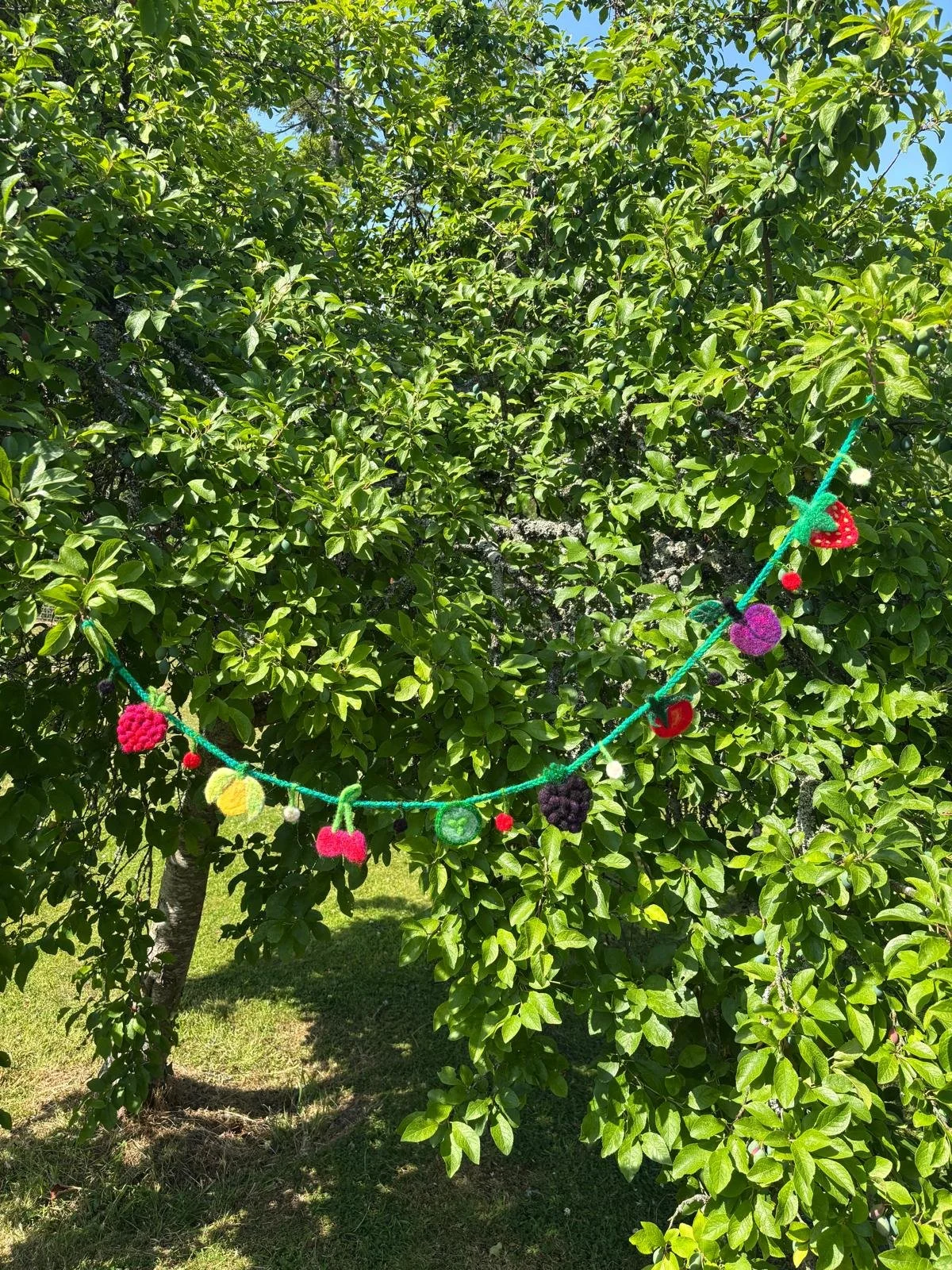 Fruity Garland