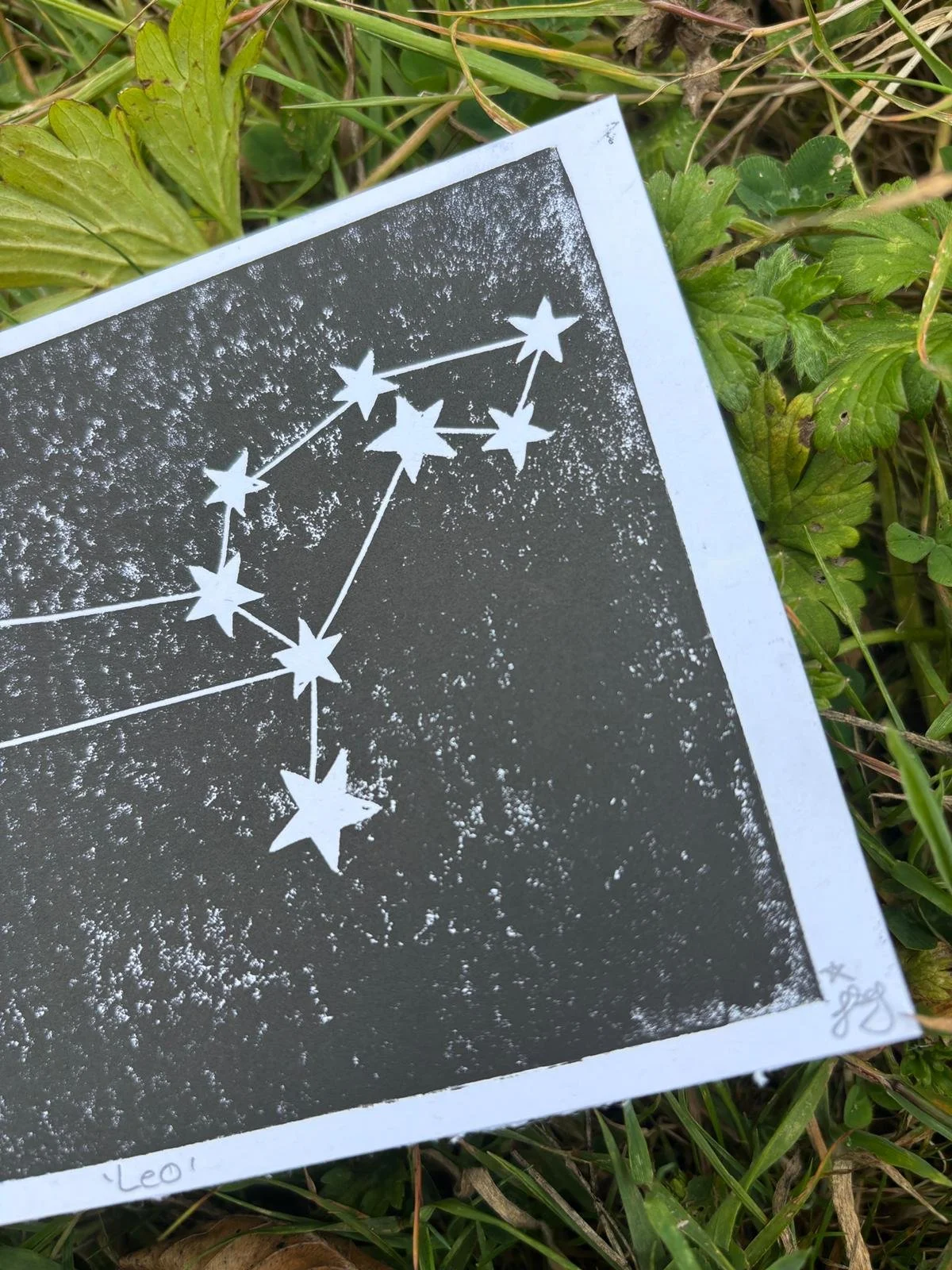 Leo Constellation R.jpeg