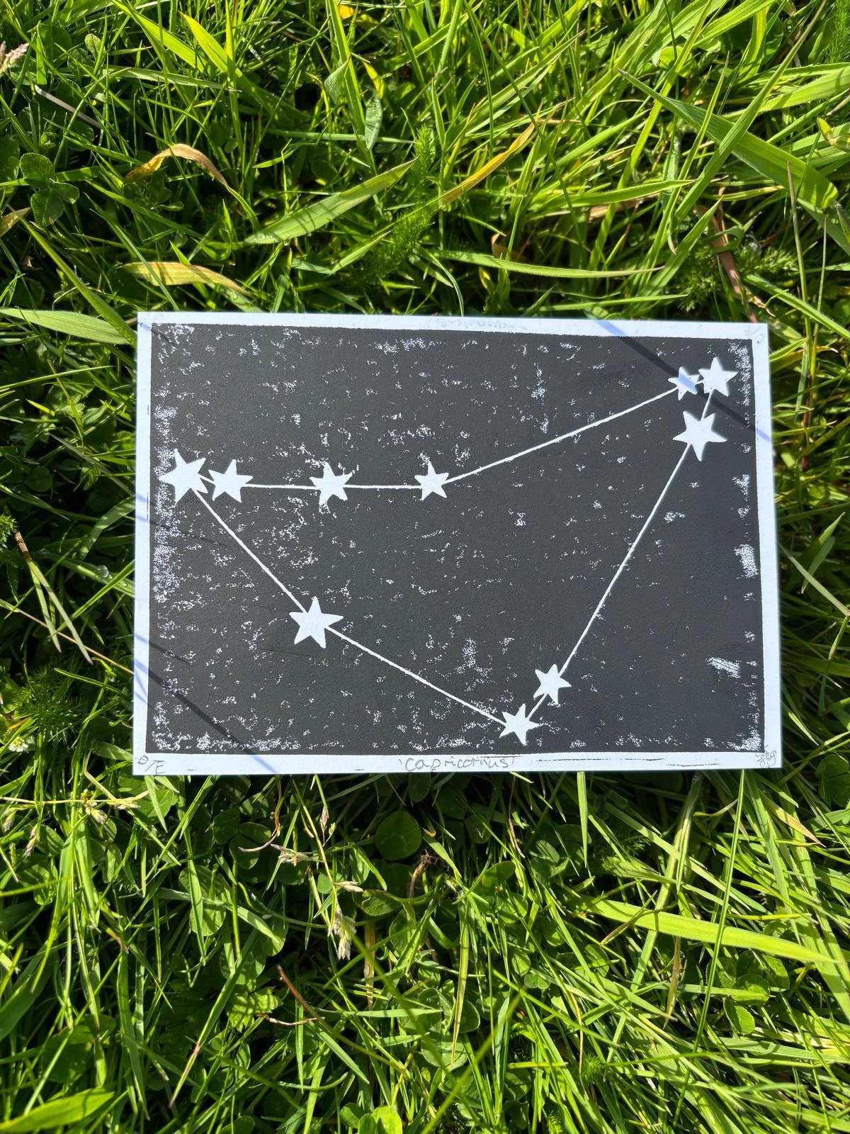Capricornus Constellation