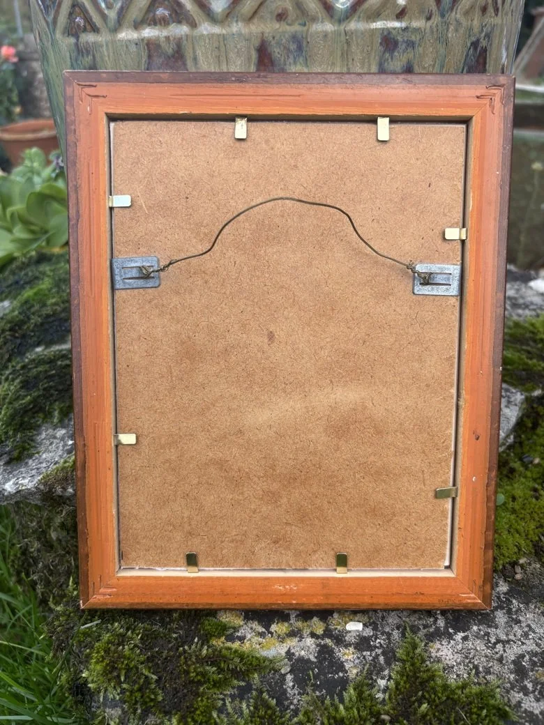 Mushroom Ladies framed back.jpeg