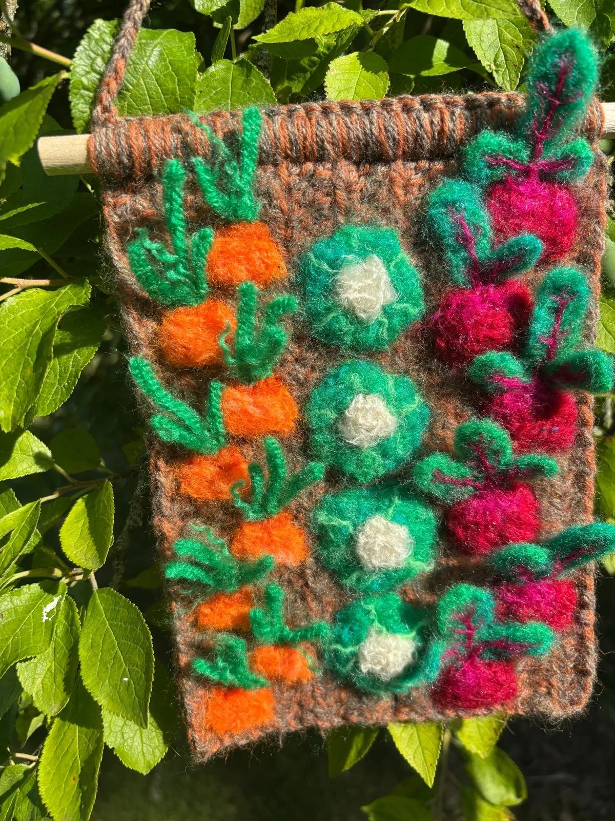 Veg patch closeup.jpeg