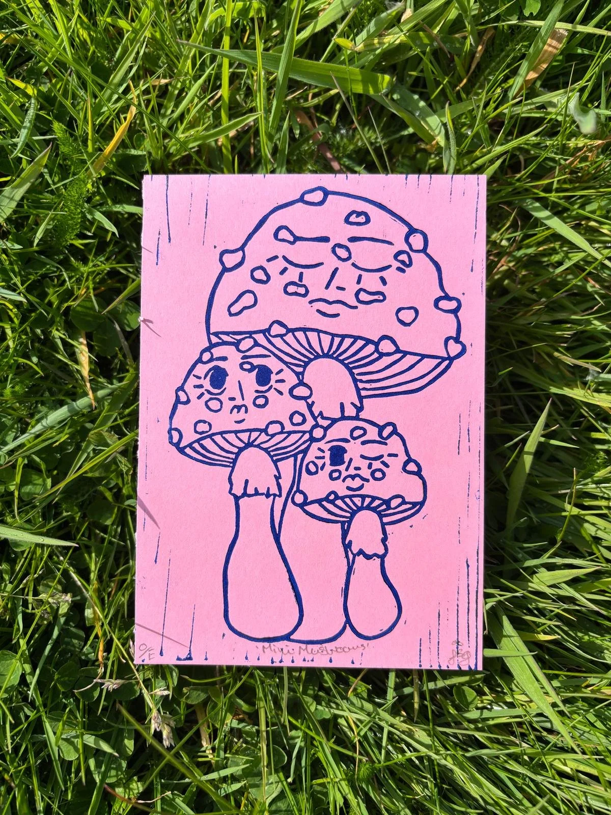Mini Mushrooms.jpeg