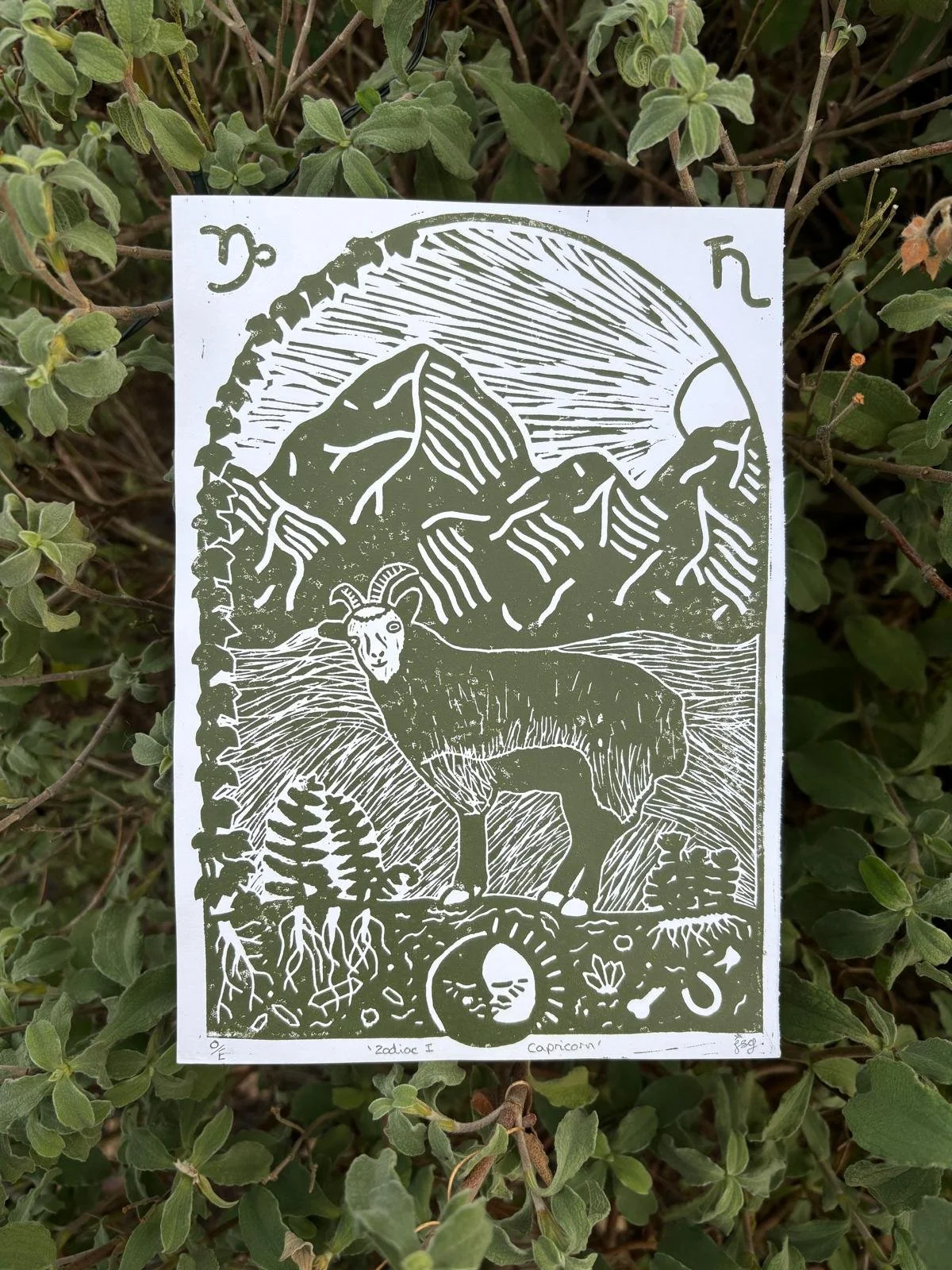 Zodiac I ~ Capricorn